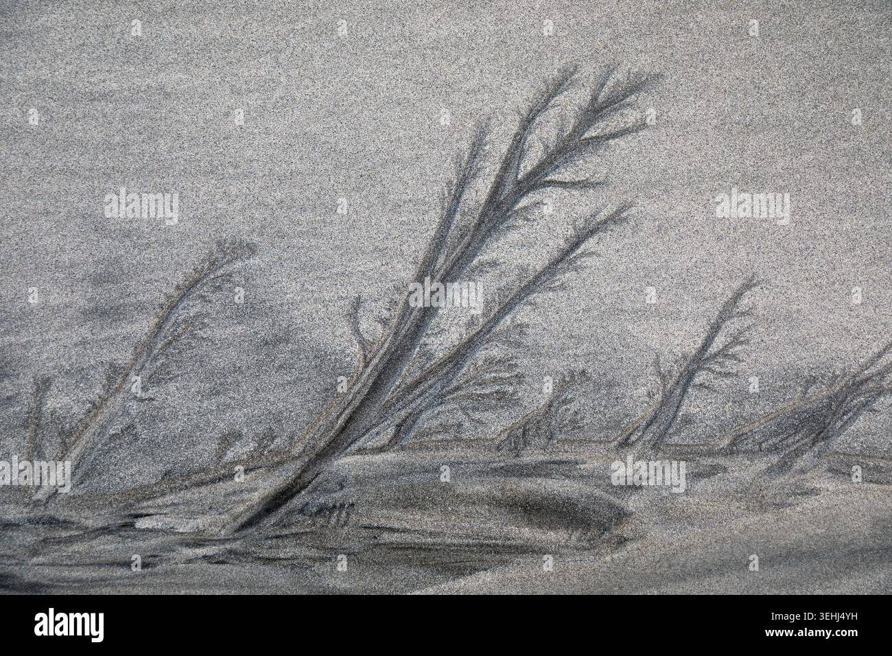 Abstract pattern formed in Skagsanden sand, lofoten, Norway Stock Photo