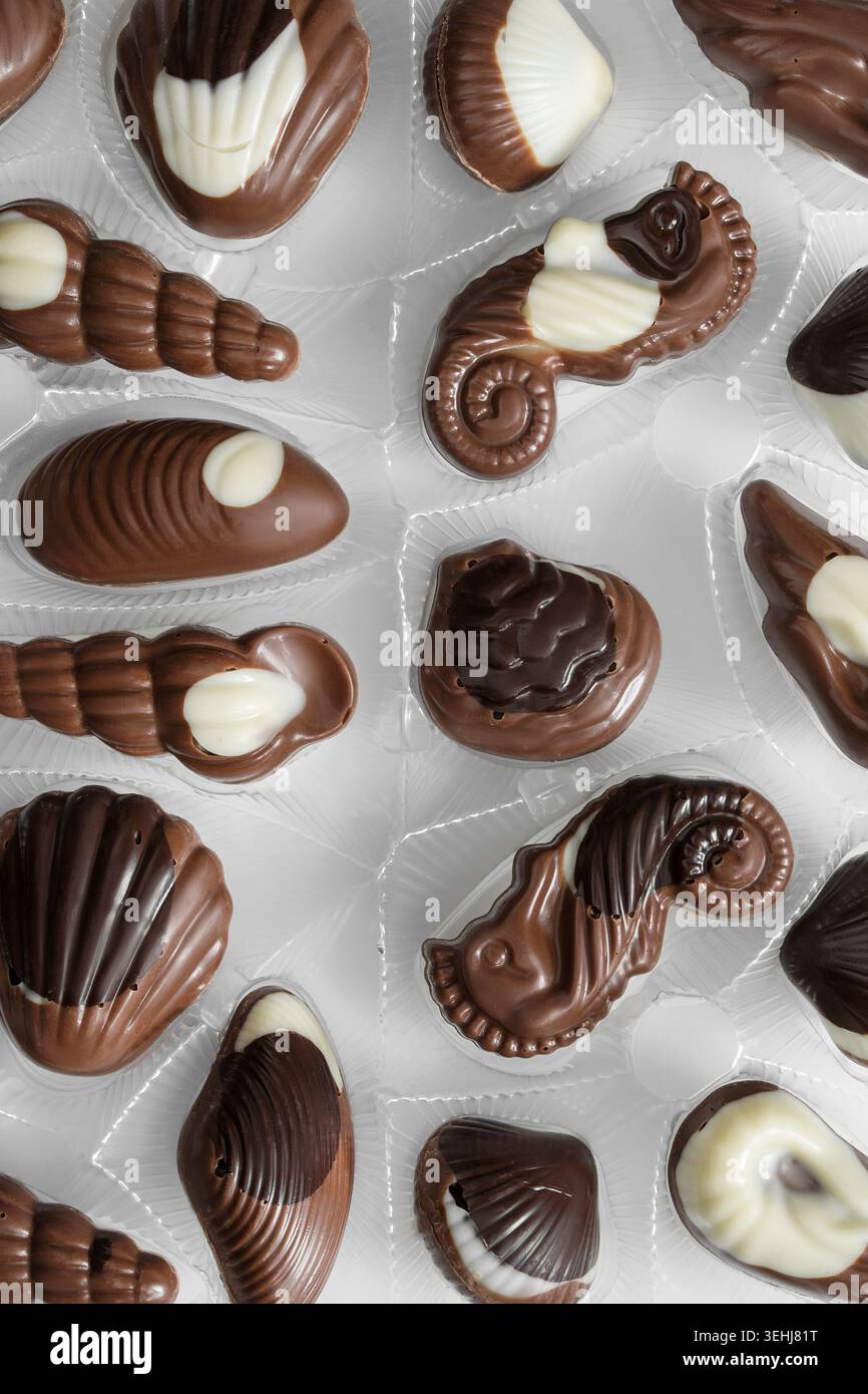 Seashell shaped chocolate candy in plastic package closeup Stock Photo