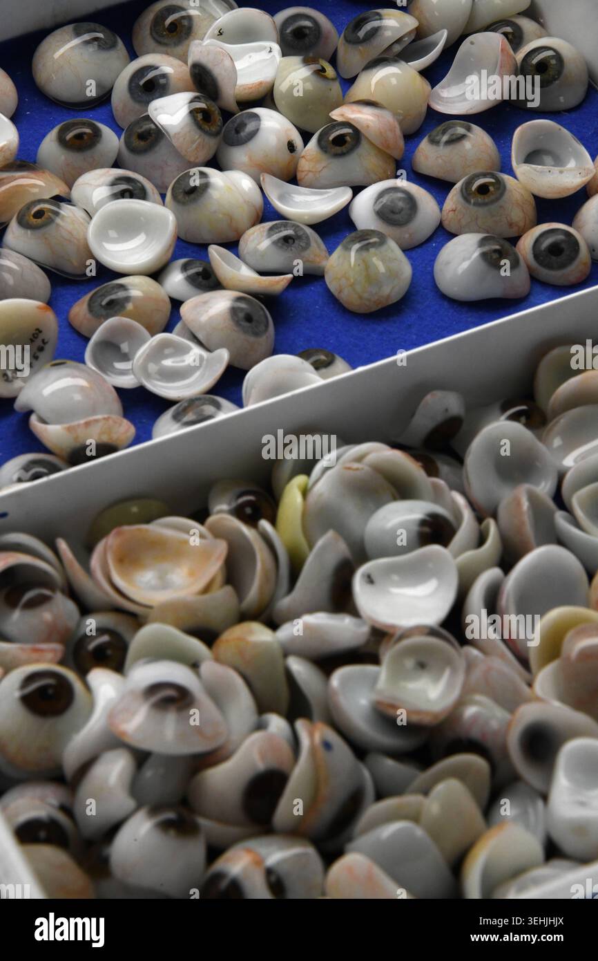 A collection of numerous prosthetic eyes and shells is scattered across ...