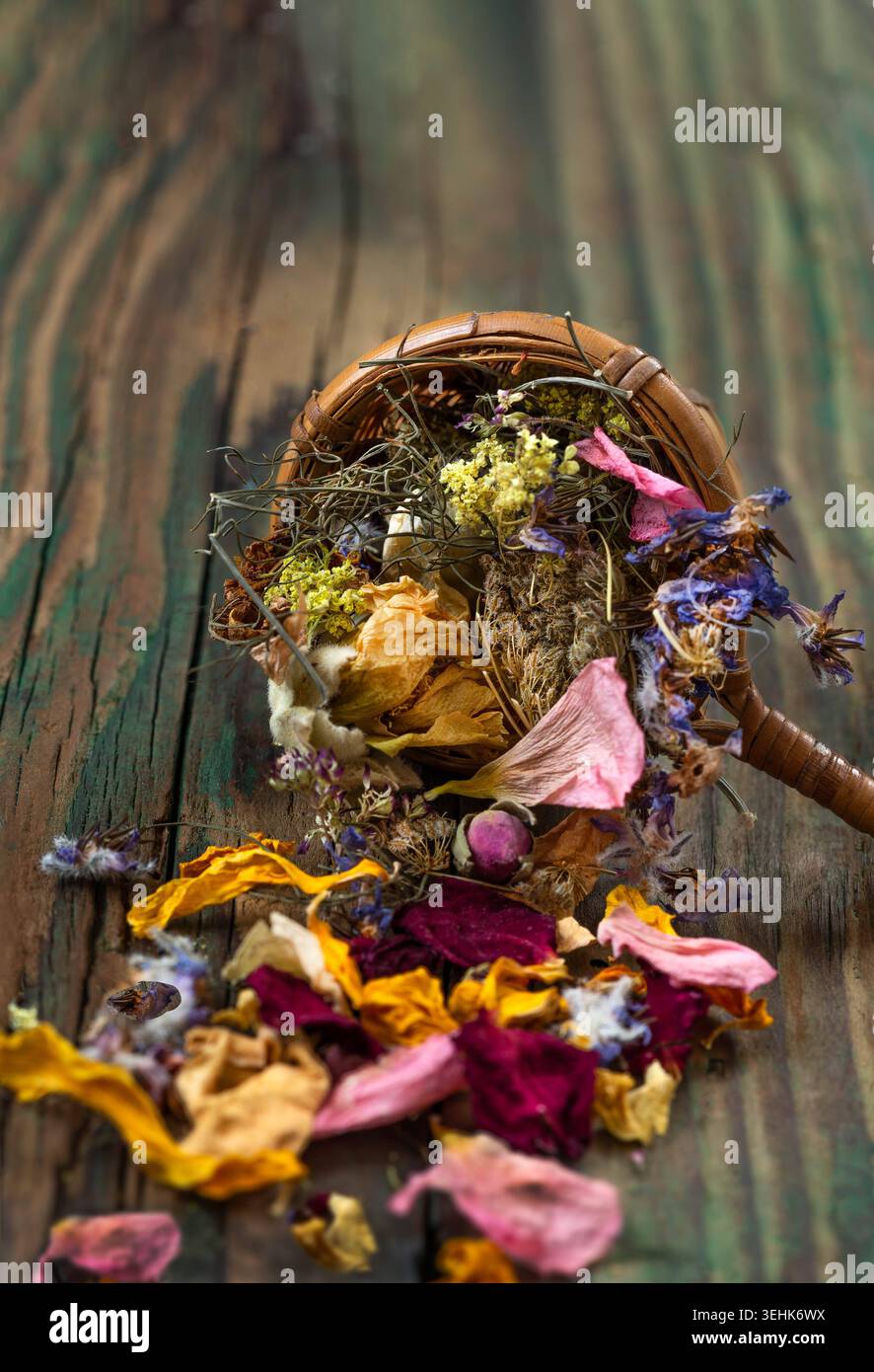 A wicker basket contains and spills dried flower petals and blossoms of ...