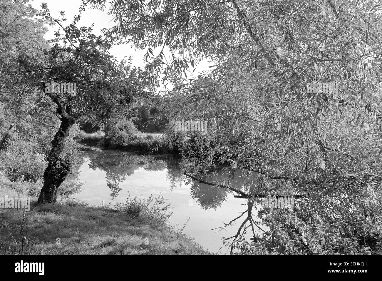 Black and white river scene Black and White Stock Photos & Images - Alamy