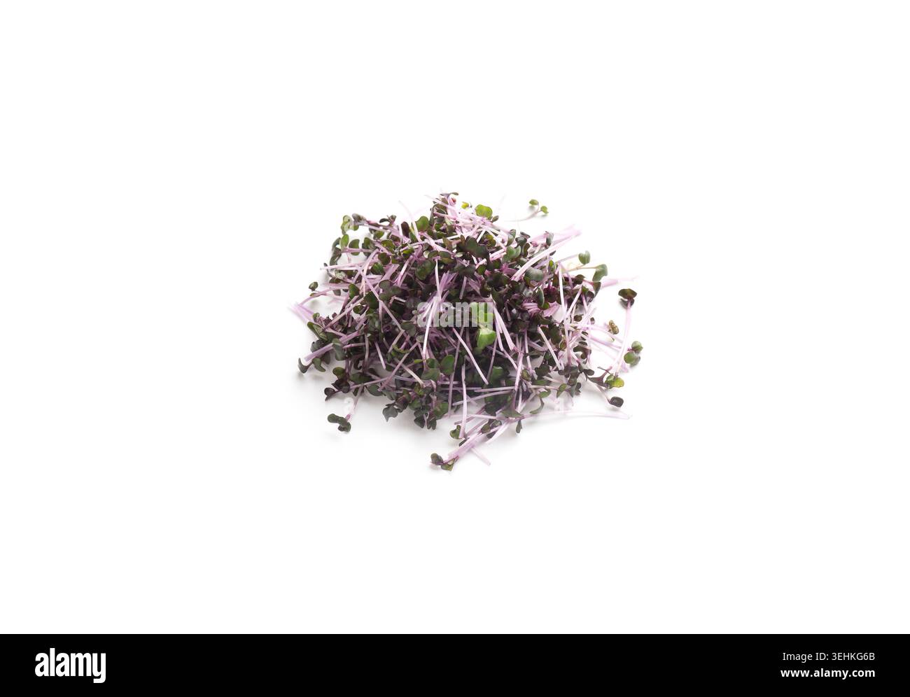 Dark purple fresh microgreens isolated on white Stock Photo