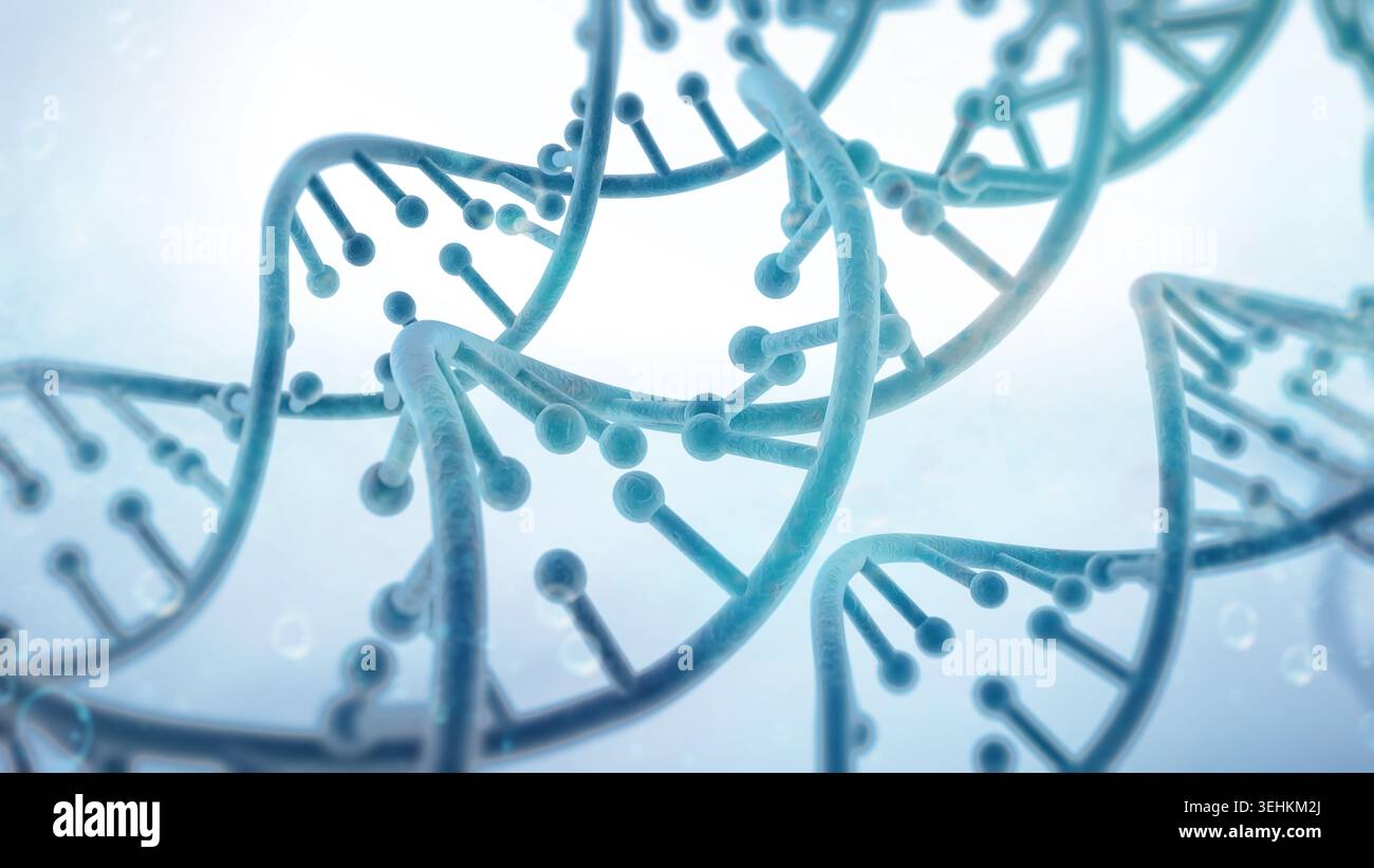 DNA strands isolated on white. Stock Photo