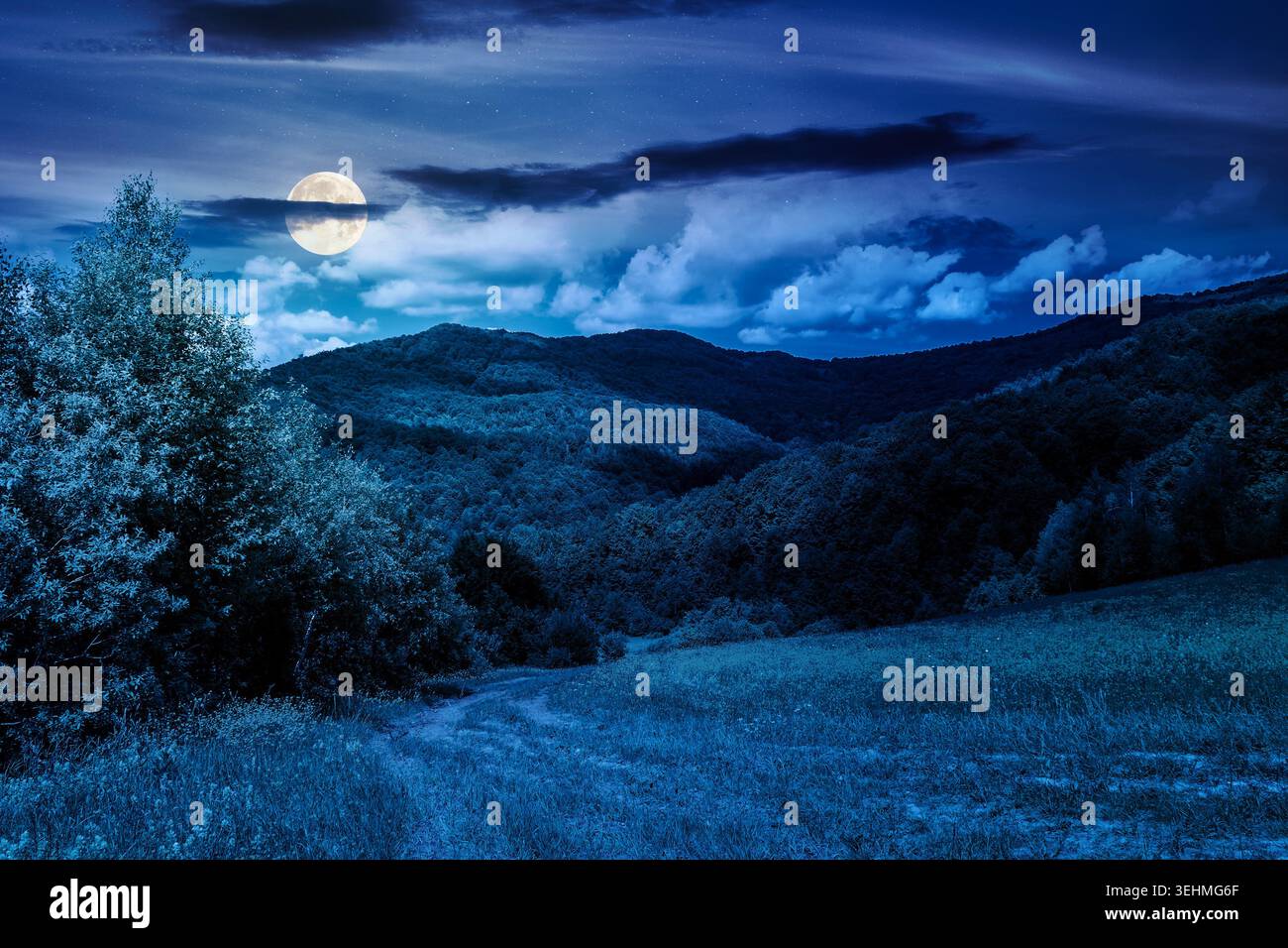 beautiful countryside of ukraine at night. mysterious view of summertime landscape in mountains. full moon over trail through the grassy field near fo Stock Photo