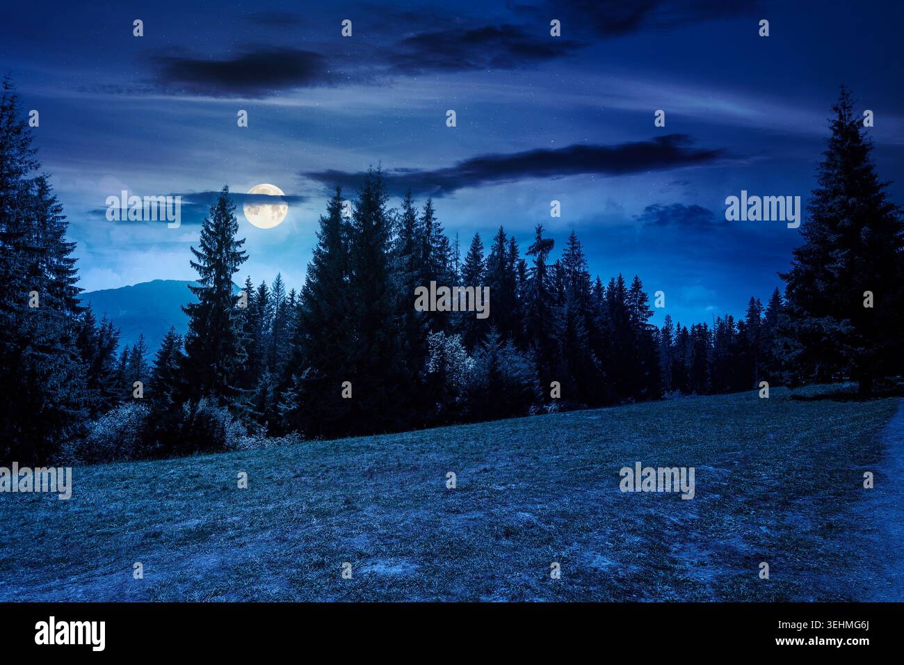 mysterious landscape with coniferous forest in summer at night. fantasy view of mountain landscape in poland. full moon over scenic spruce trees on a Stock Photo