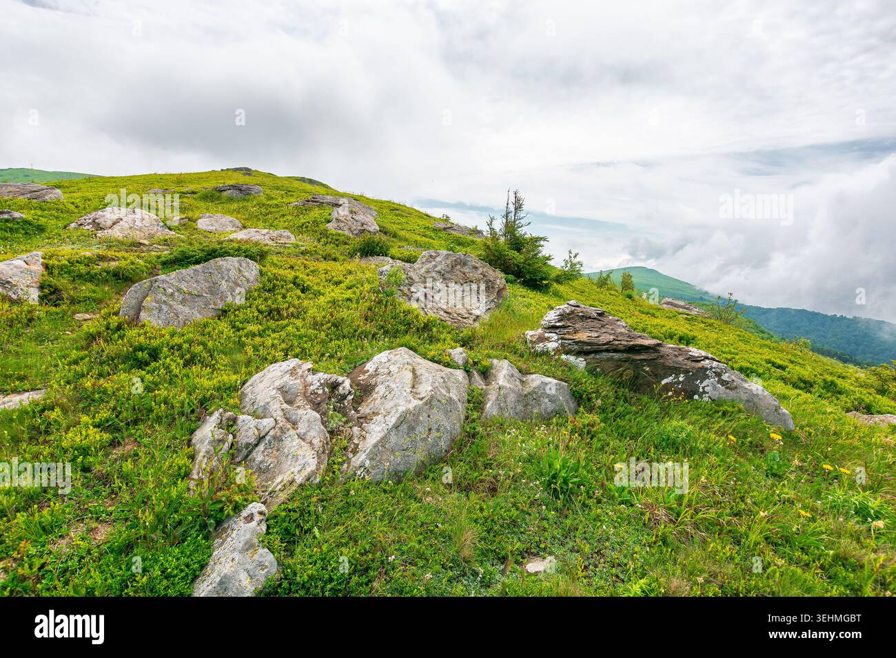 green landscape of mountain in summer. view of rock among grass on the hillside. travel background under a cloudy sky. carpathian mountain scenery wit Stock Photo