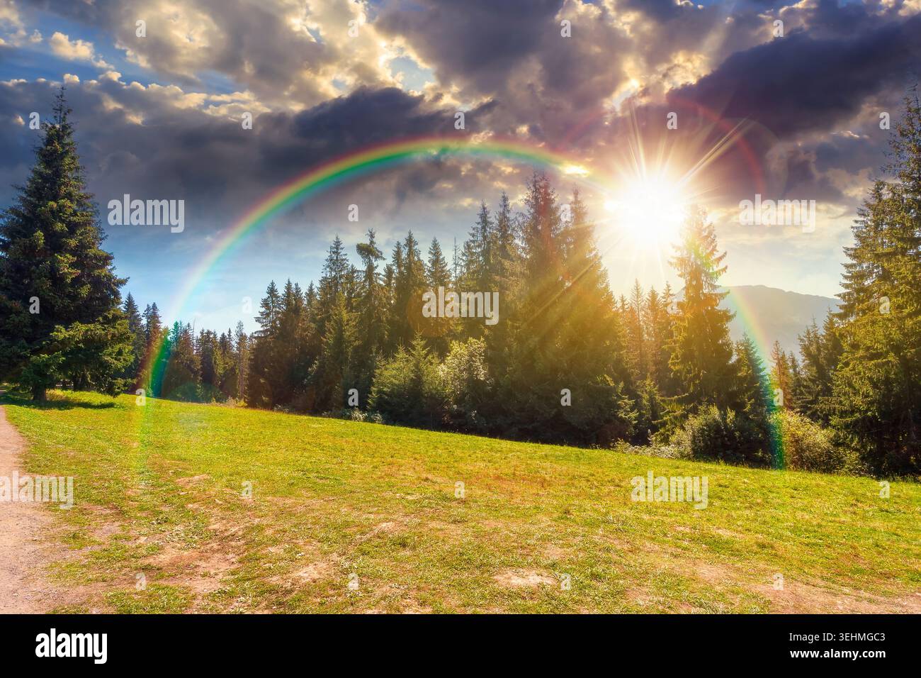 sunset over landscape with coniferous forest in summer. scenic view of mountain landscape in poland. spruce trees on a grassy alpine meadow. cloudy sk Stock Photo