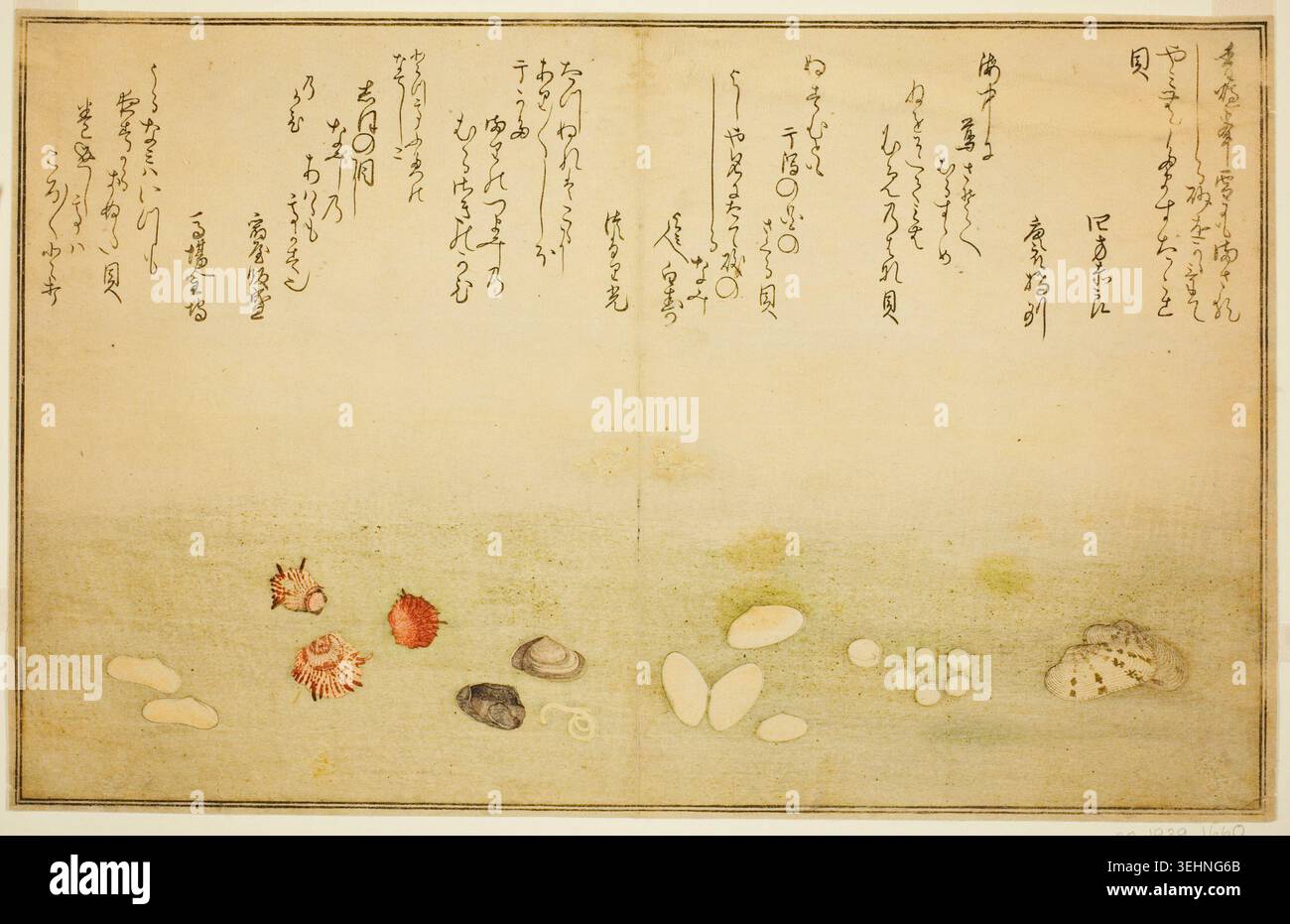 Shells and Marine Specimens by Kitagawa Utamaro, 1789, illustrating six ...