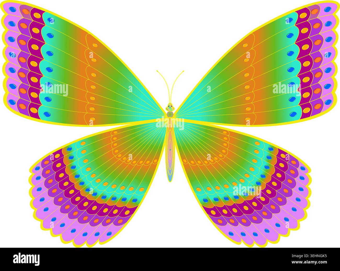 Colorful Decorative Butterfly Vector Illustration Stock Vector