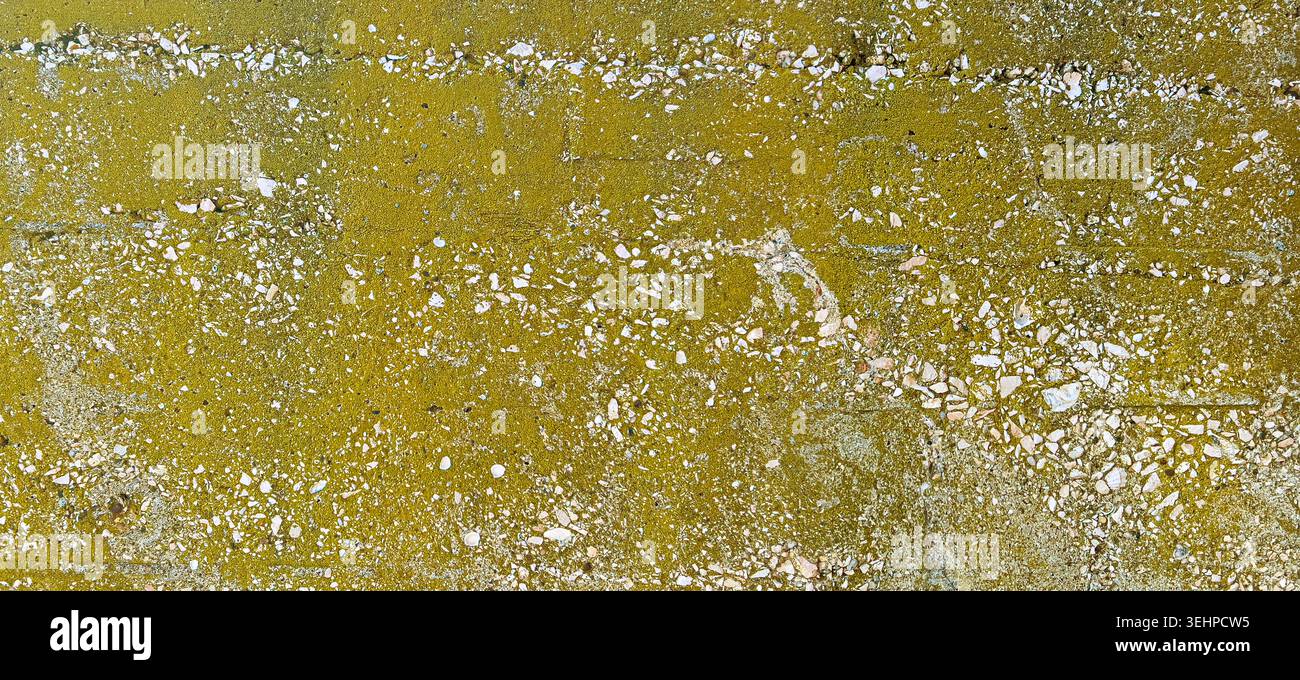 Weathered concrete surface with green moss or algae and exposed aggregate Stock Photo