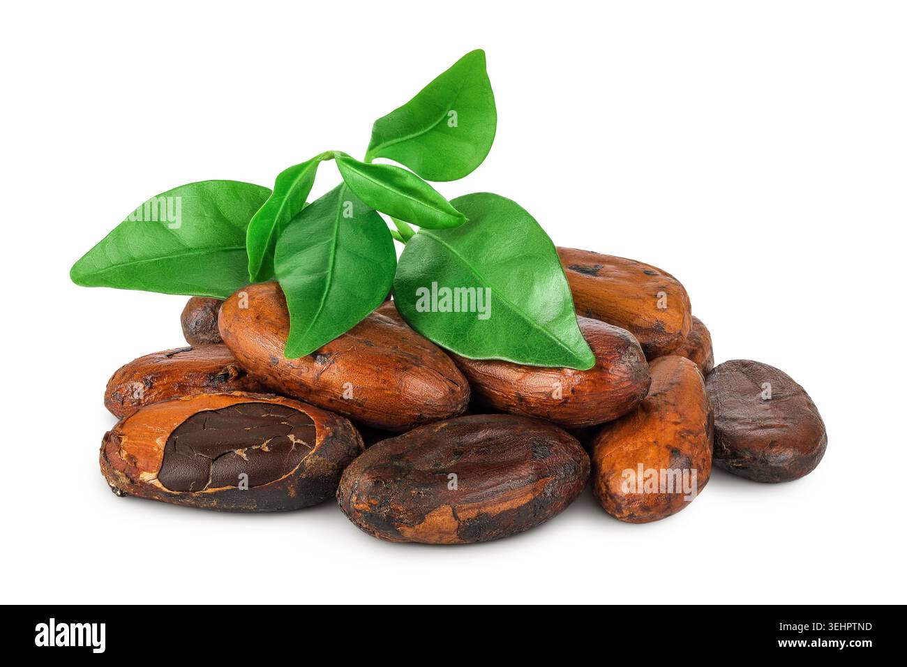 cocoa beans isolated on white background Stock Photo