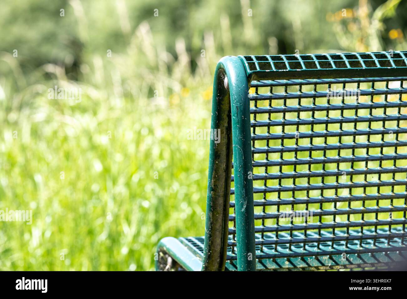 Minimalist view of a green bench surrounded by lush green grass in an ... - Setting Up A Minimalist Nursery
