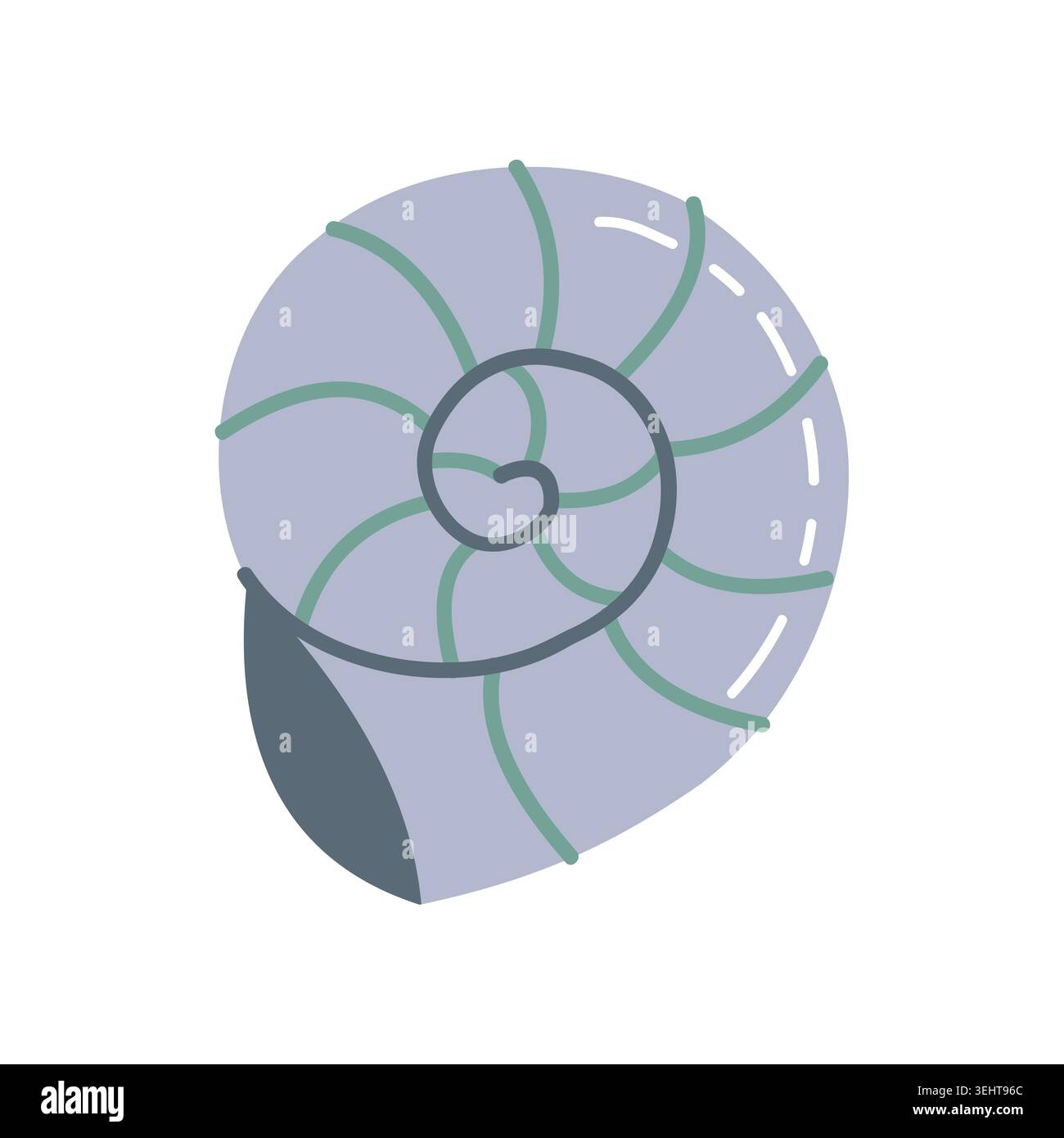 Cute Nautilus Sea Shell Vector Illustration Stock Vector