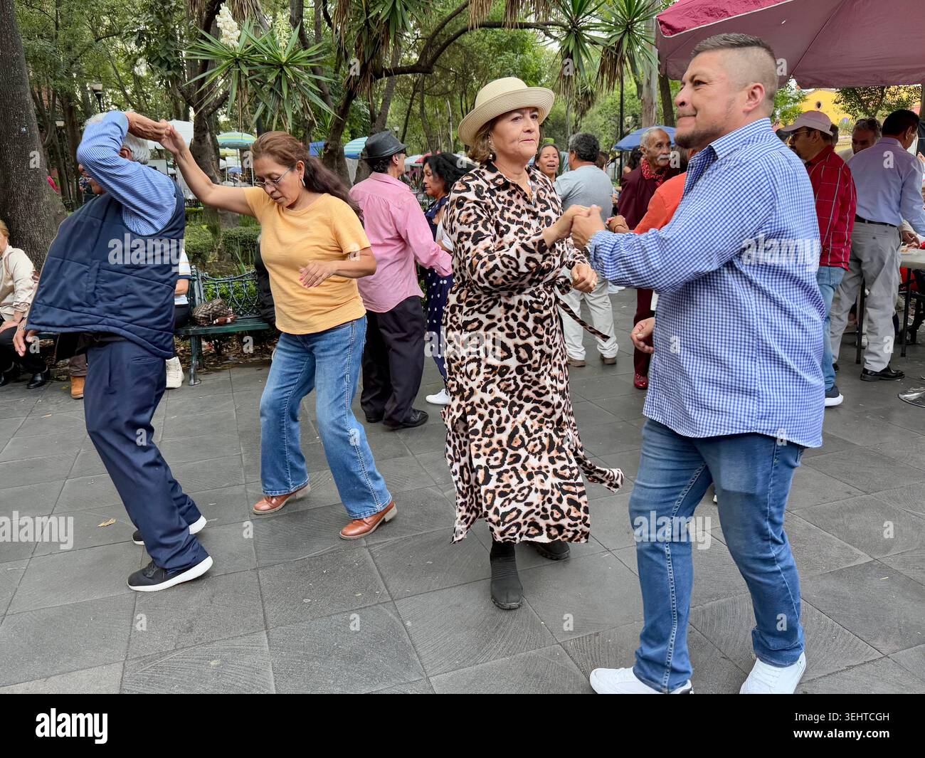 Couples dance in a public plaza in Coyoacán, Mexico City, reflecting the neighborhood’s lively social life and popular music culture - Smartphone Captured Stock Image