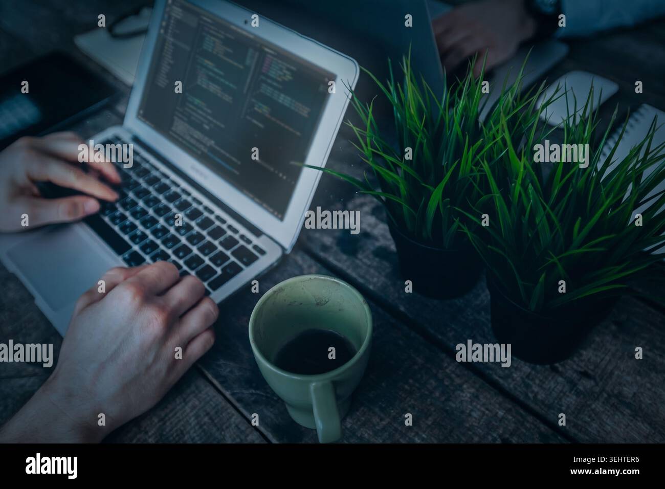 Coding session at a desk with coffee and plants in the workspace Stock Photo