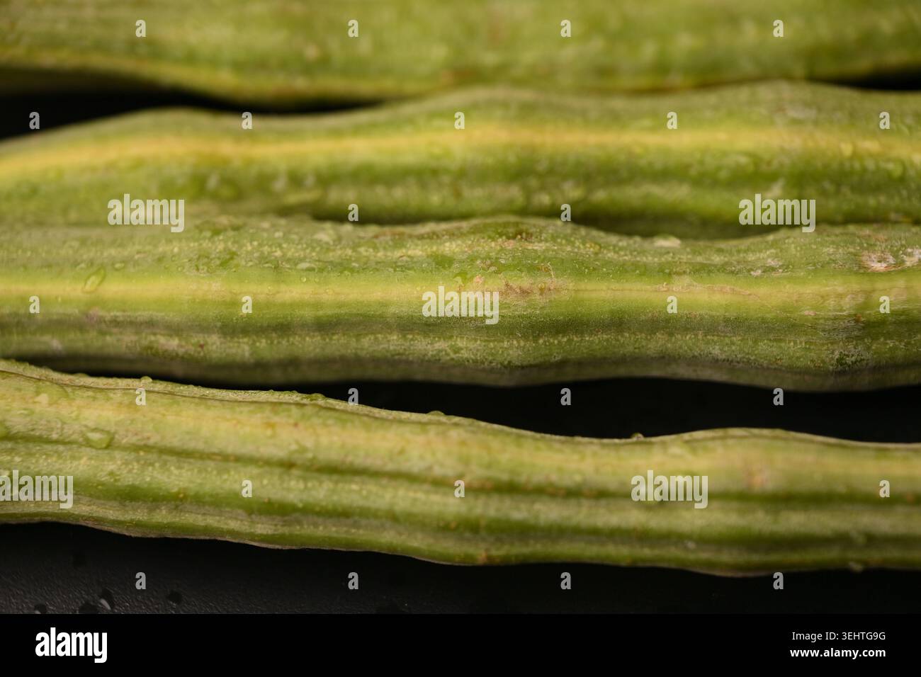 Plant of moringa hi-res stock photography and images - Page 10 - Alamy