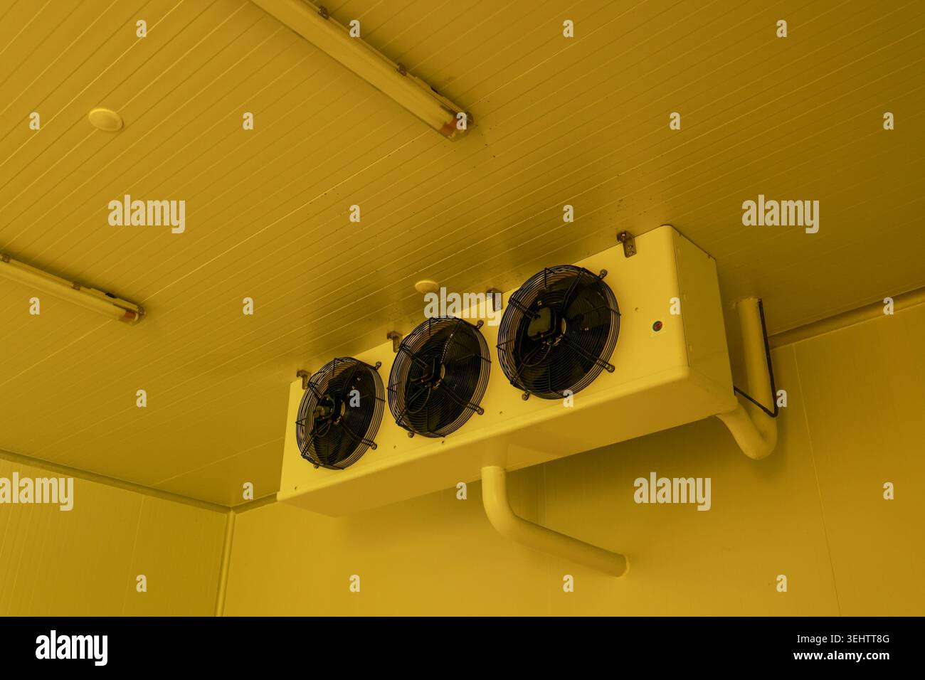 Industrial refrigeration unit with three fans mounted yellow ceiling ...