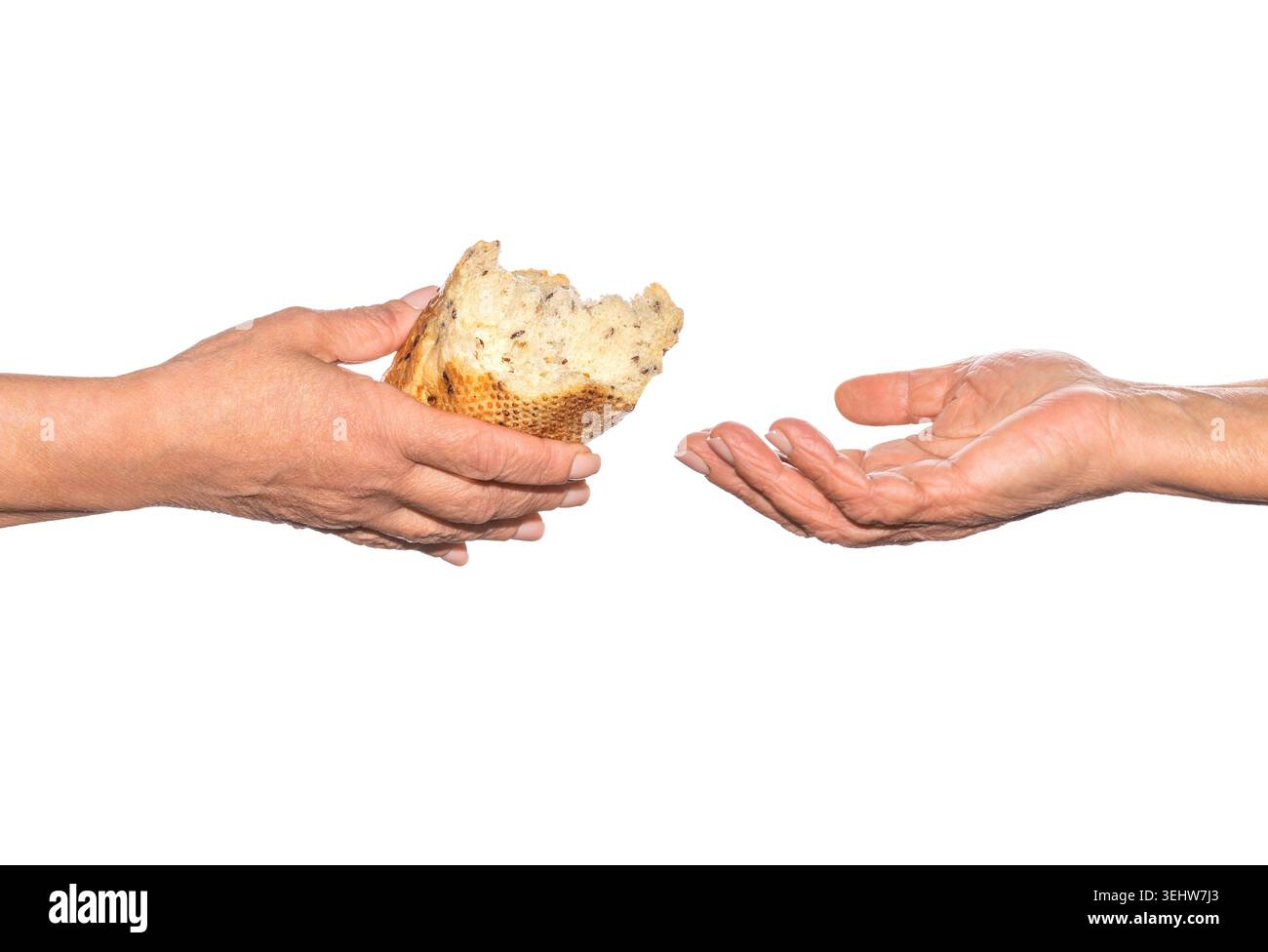 Pieces of bread. Helping the homeless. Elder woman hand give a loaf of ...
