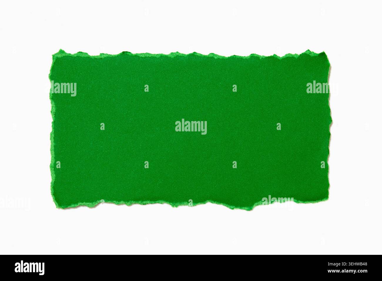 Green torn paper on white background Stock Photo