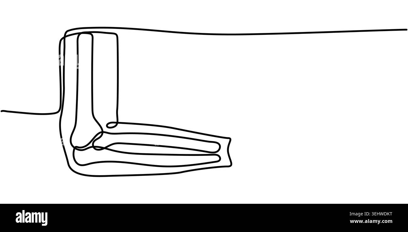 Minimalist Hand Drawn Continuous Line Art Human Elbow Anatomy Joint ...