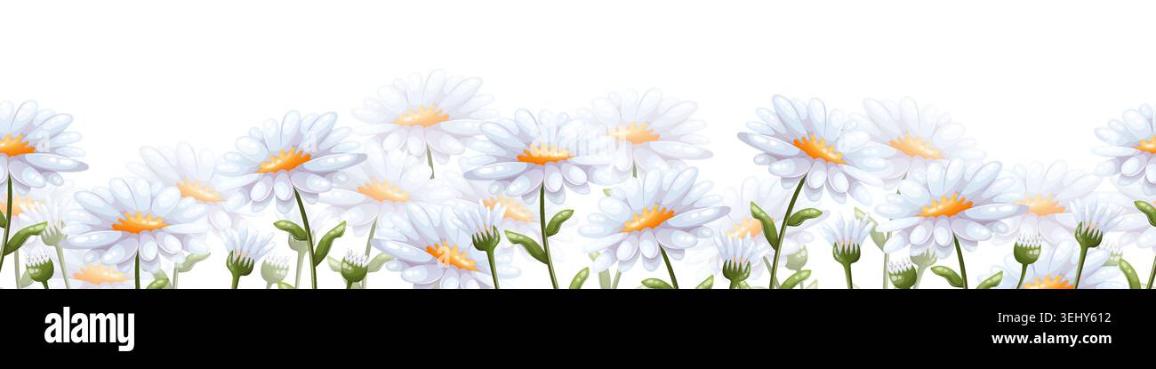Vector seamless border with white daisies Stock Vector
