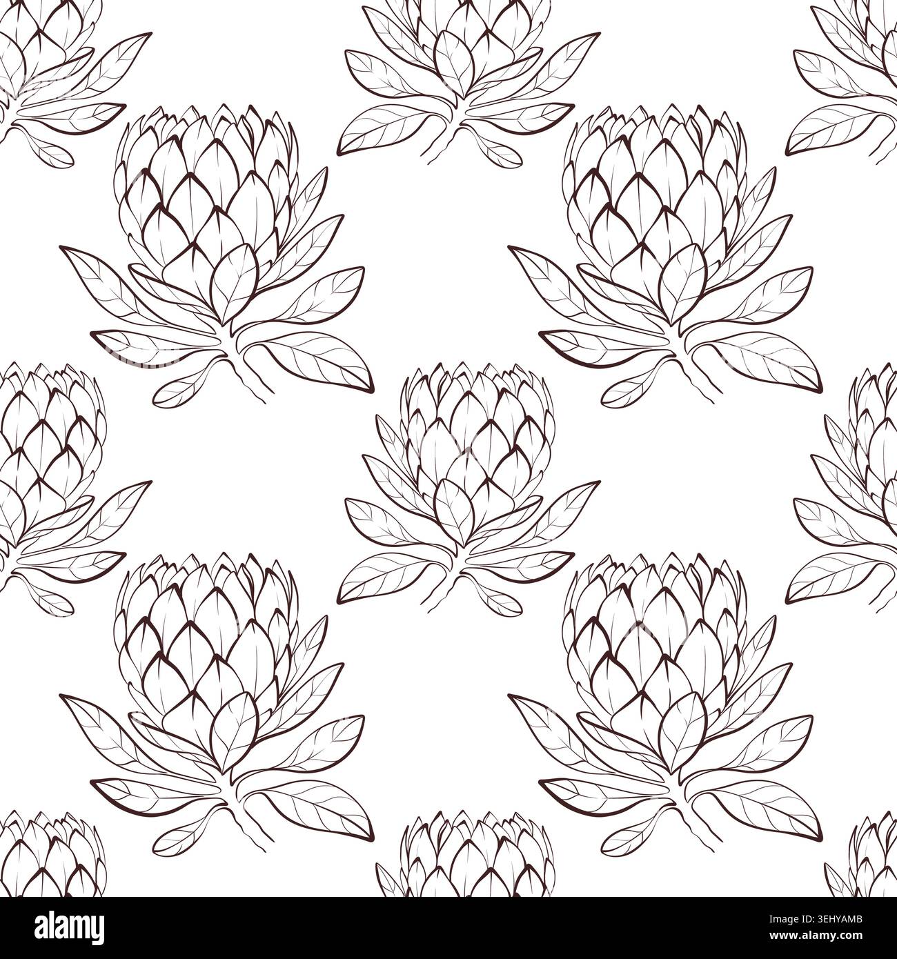 Seamless protea pattern, black and white line art vector illustration, botanical floral repeat background Stock Vector