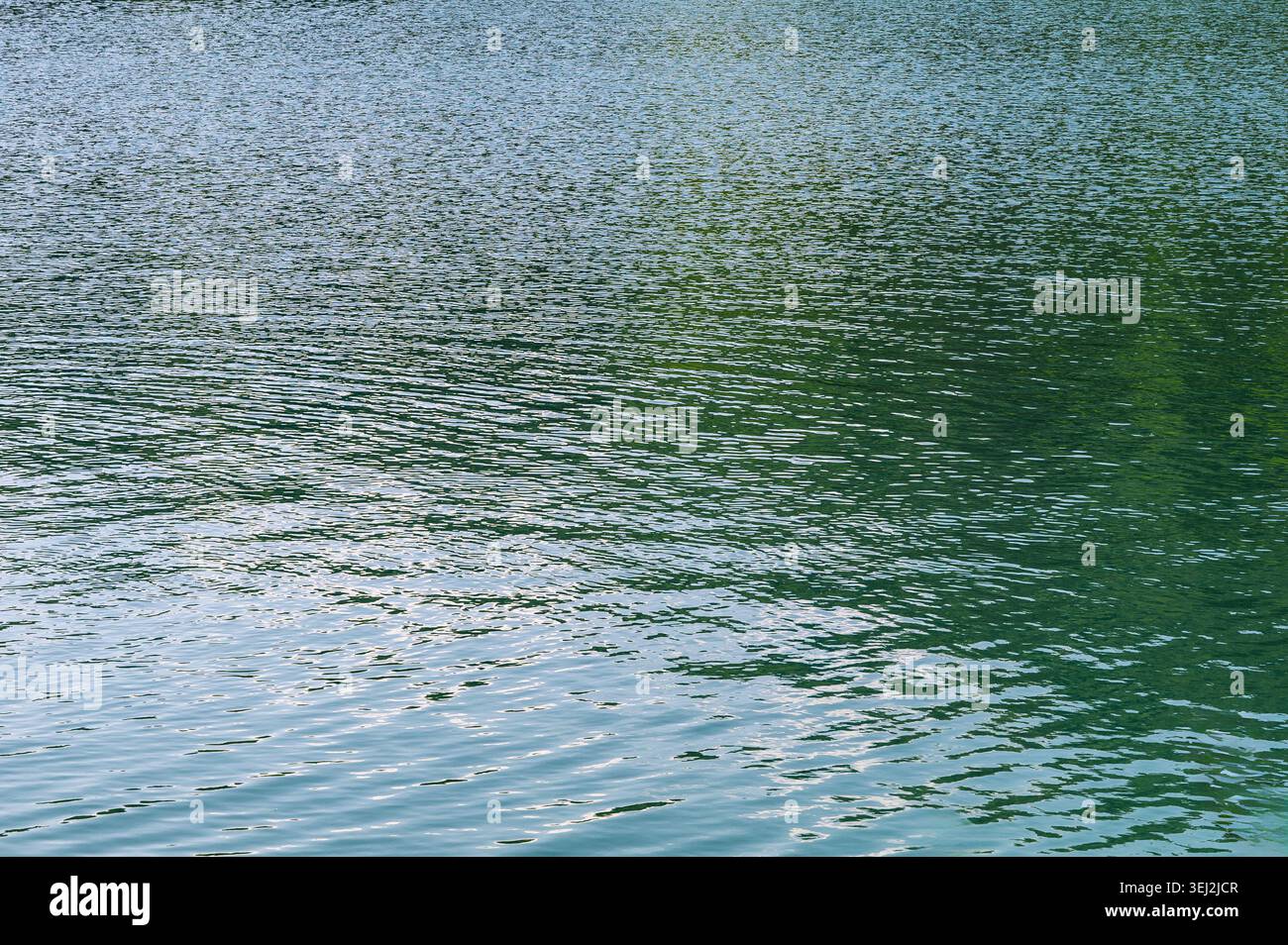 Small ripples on green lake water surface Stock Photo