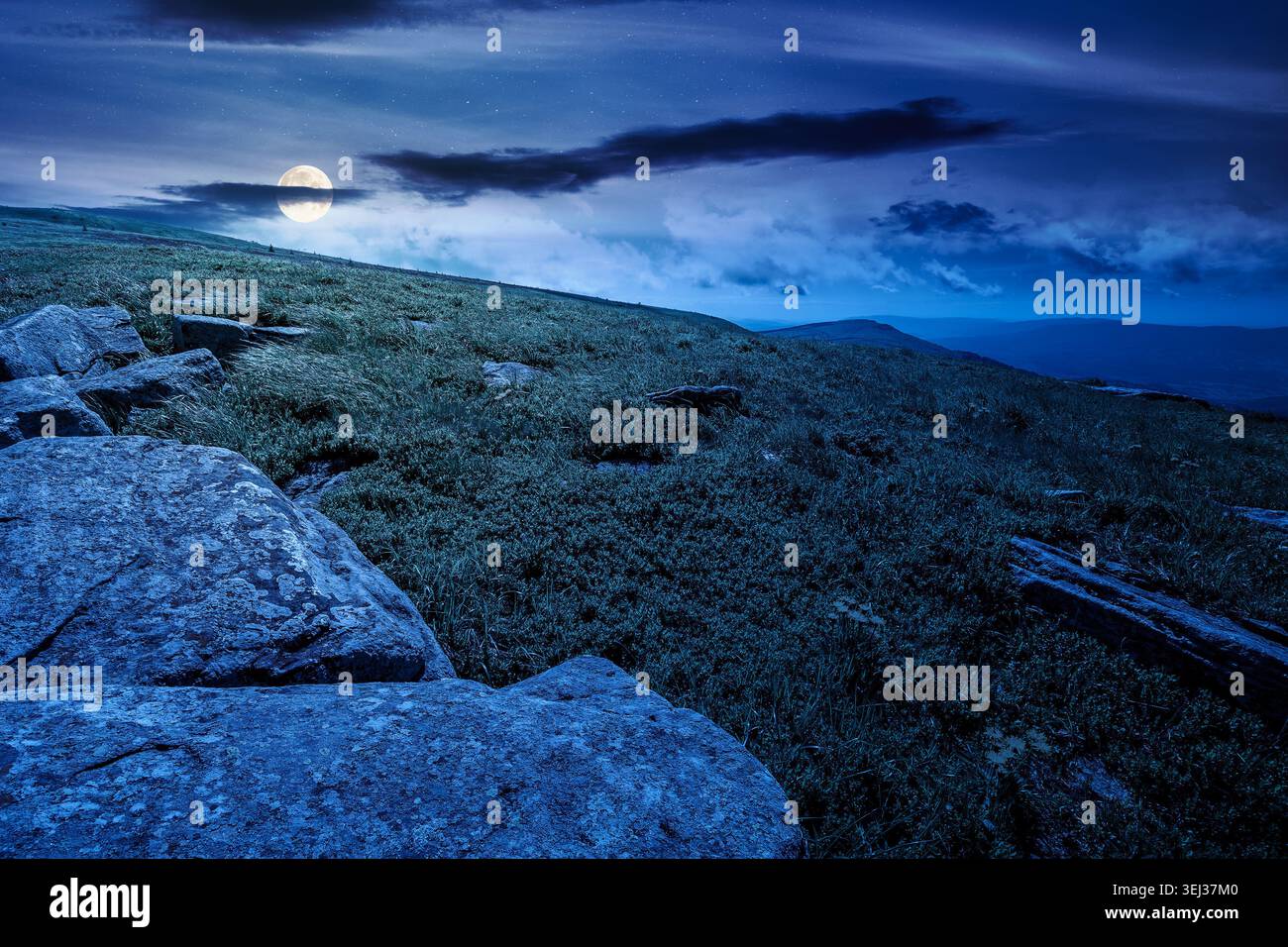 carpathian mountain landscape on summer night. fantasy view of a grassy alpine meadow. full moon over rock and yellow herbs on the hill. mysterious mo Stock Photo