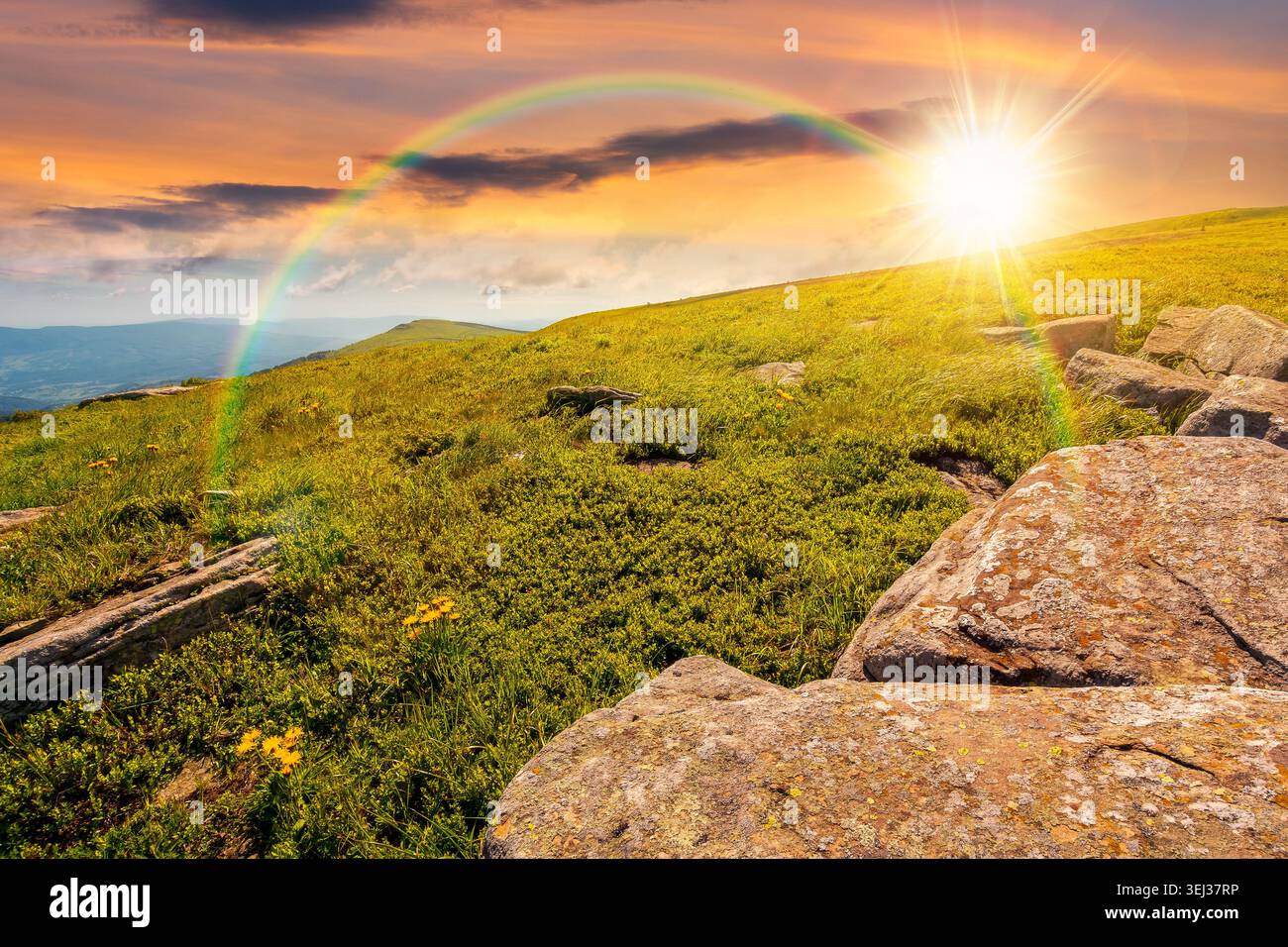 sunset over carpathian mountain landscape in summer. nice view of a grassy alpine meadow. rock and yellow herbs on the hill. sunny mountain weather wi Stock Photo