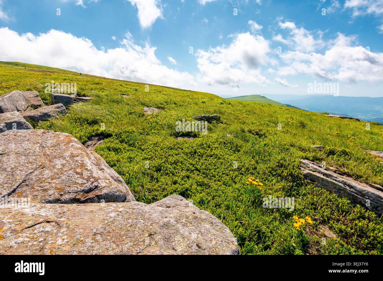 carpathian mountain landscape in summer. nice view of a grassy alpine meadow. rock and yellow herbs on the hill. sunny mountain weather with fluffy cl Stock Photo