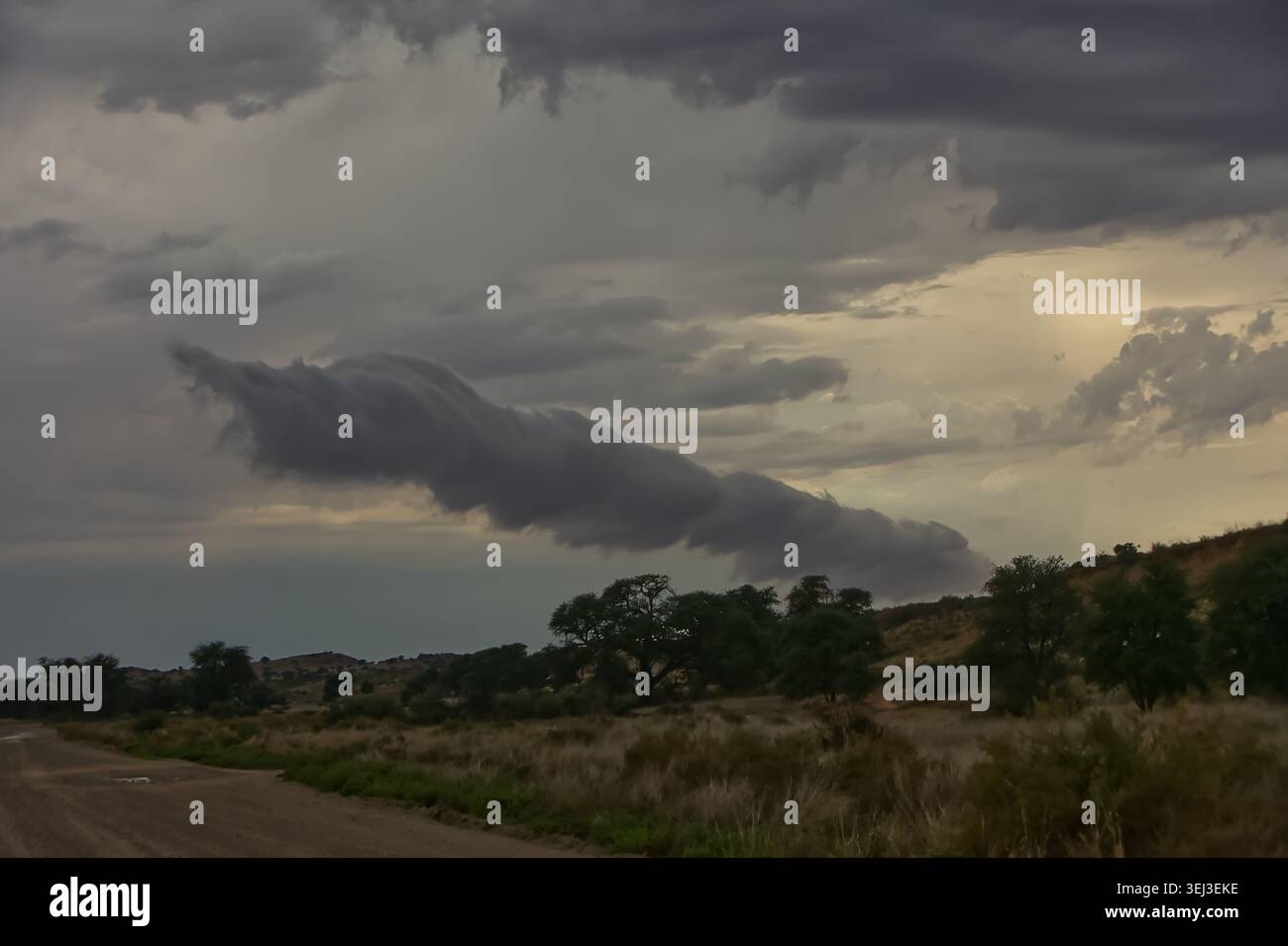 Dramatic Storm Clouds Forming Over Kalahari Landscape 17248 Stock Photo