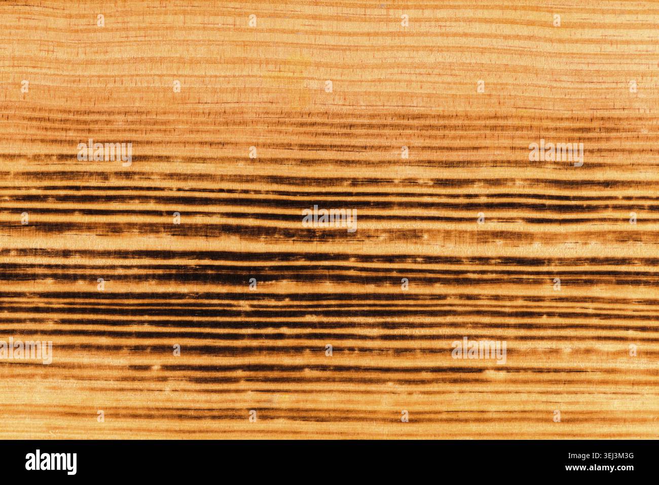Background texture from burned brown pine wood Stock Photo