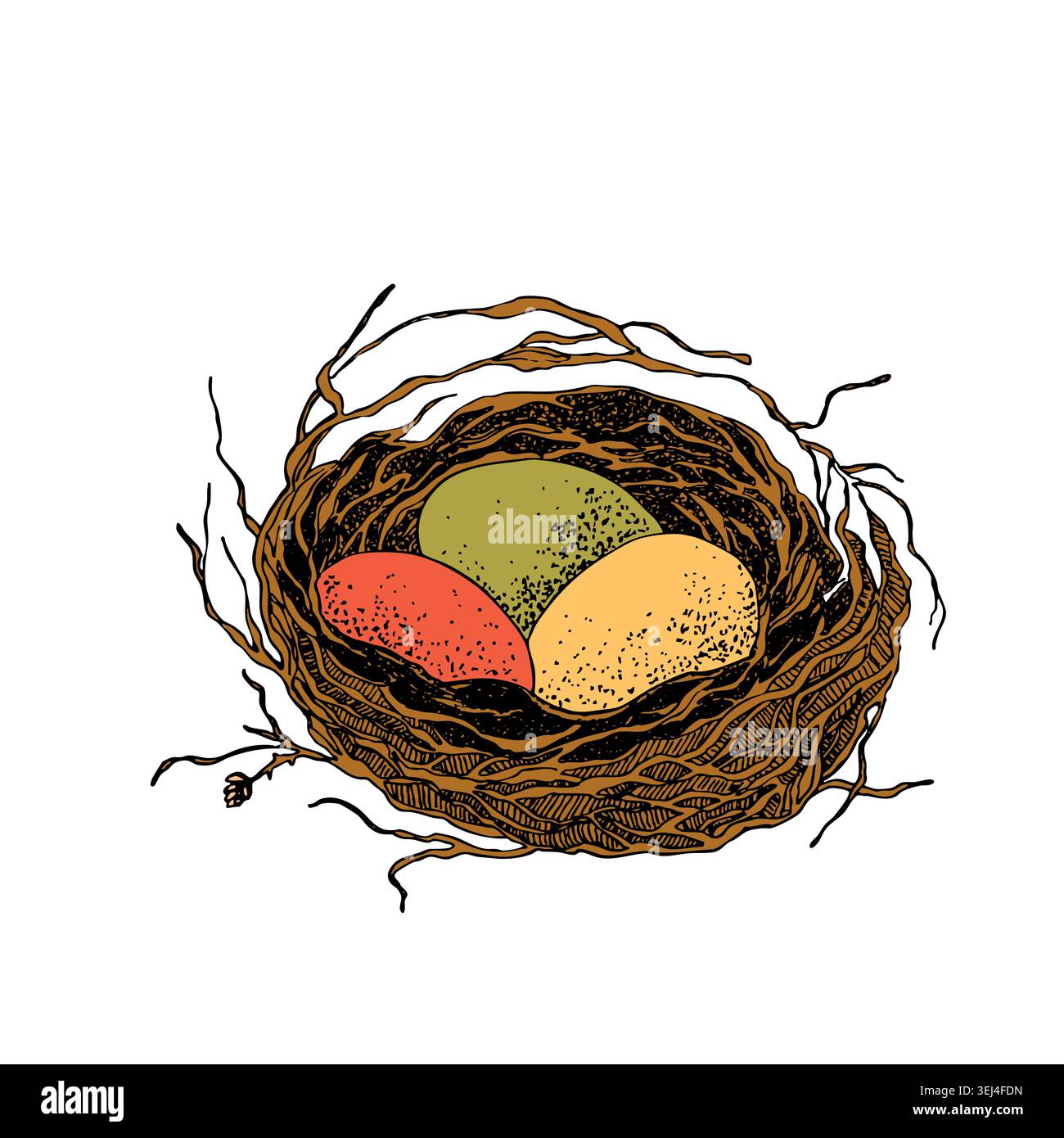 Bird nest with eggs. Easter hand drawn vector illustration, template design Stock Vector