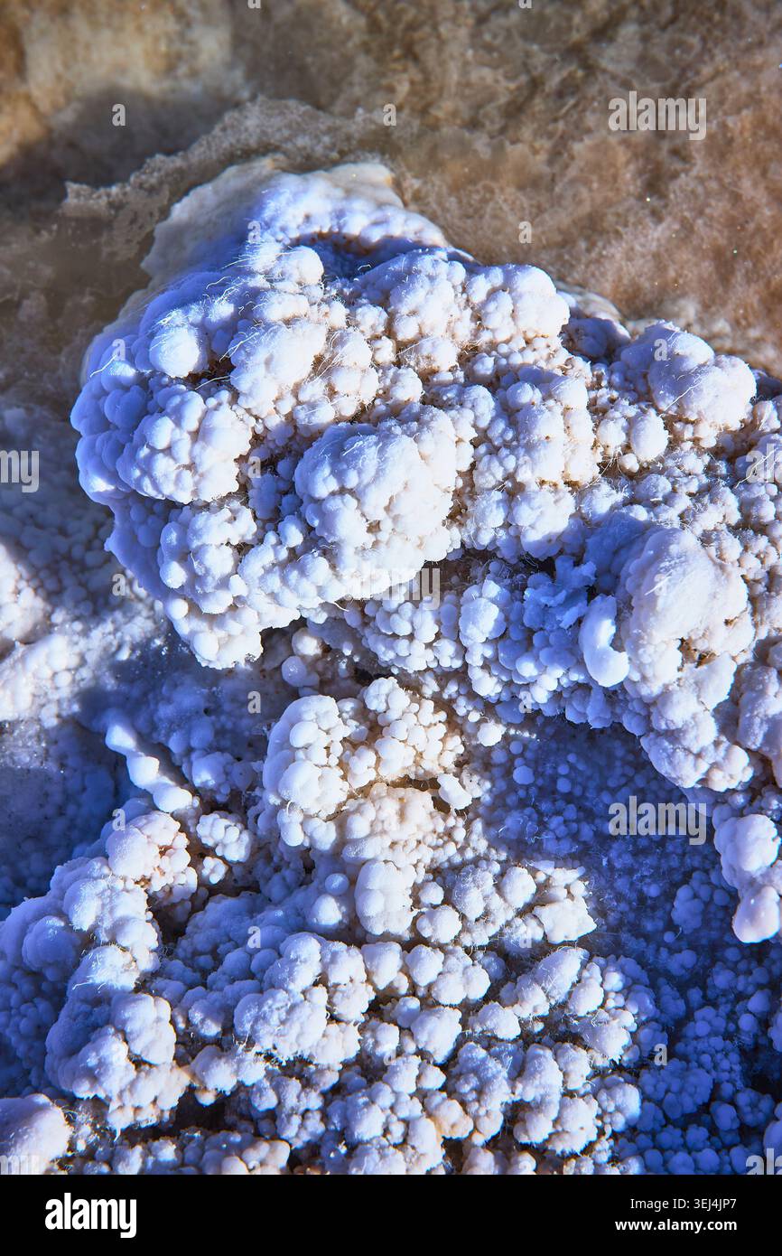 Salt Crystal Formations Close Up Textured Mineral Surface and Muddy Water Stock Photo