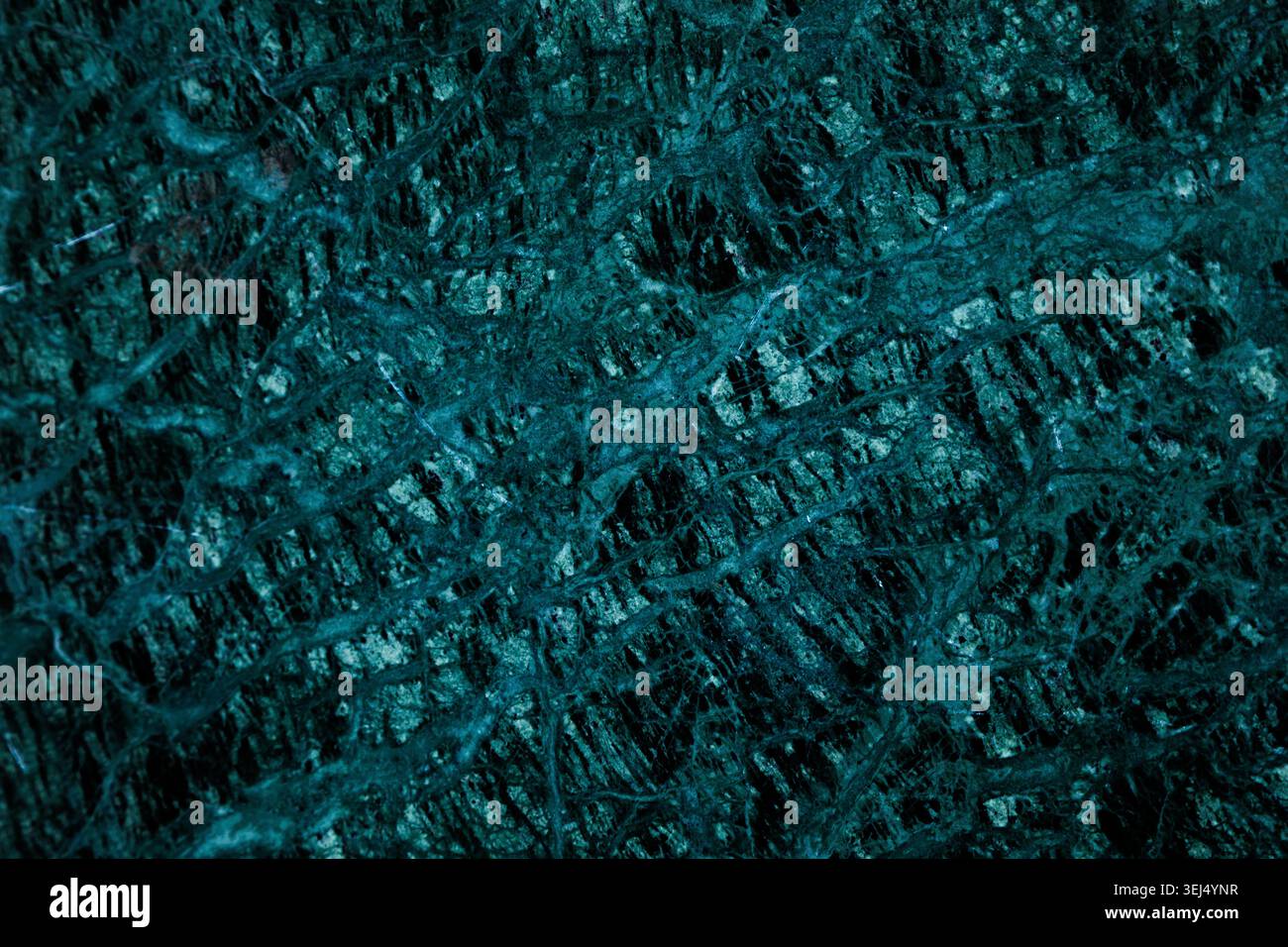 Luxurious Deep Teal Veined Marble Stock Photo