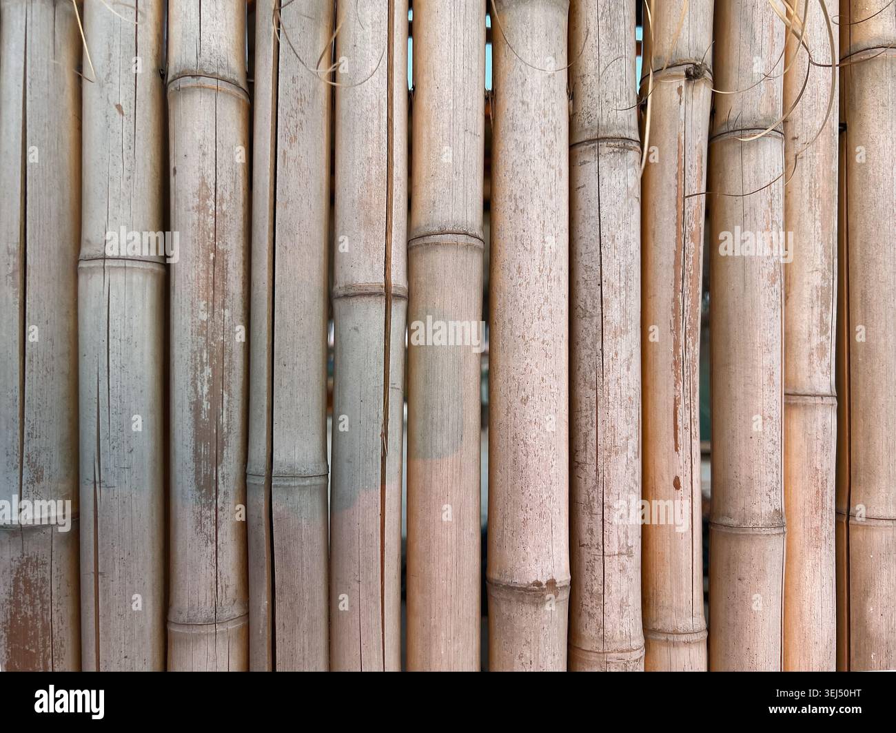 Bamboo Wall Texture Natural Pattern Background Stock Photo