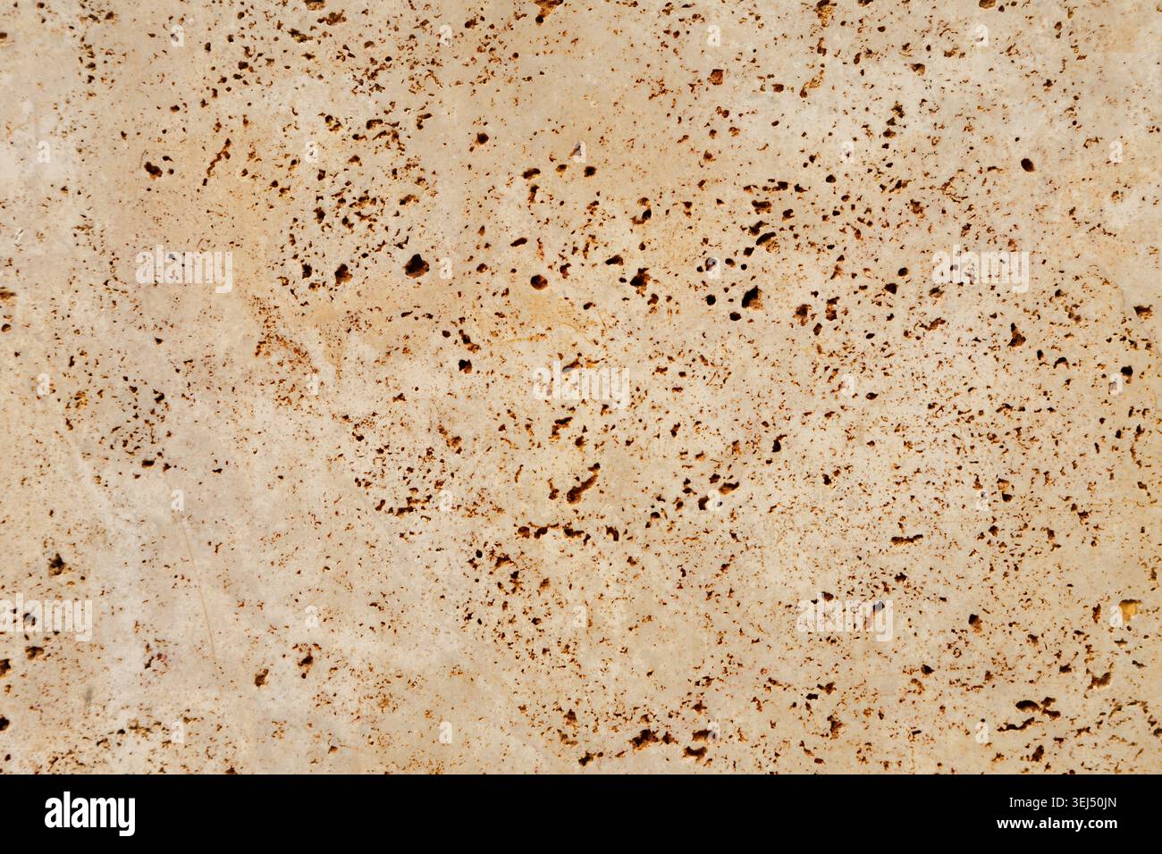 Porous Beige Travertine Stone Texture Stock Photo