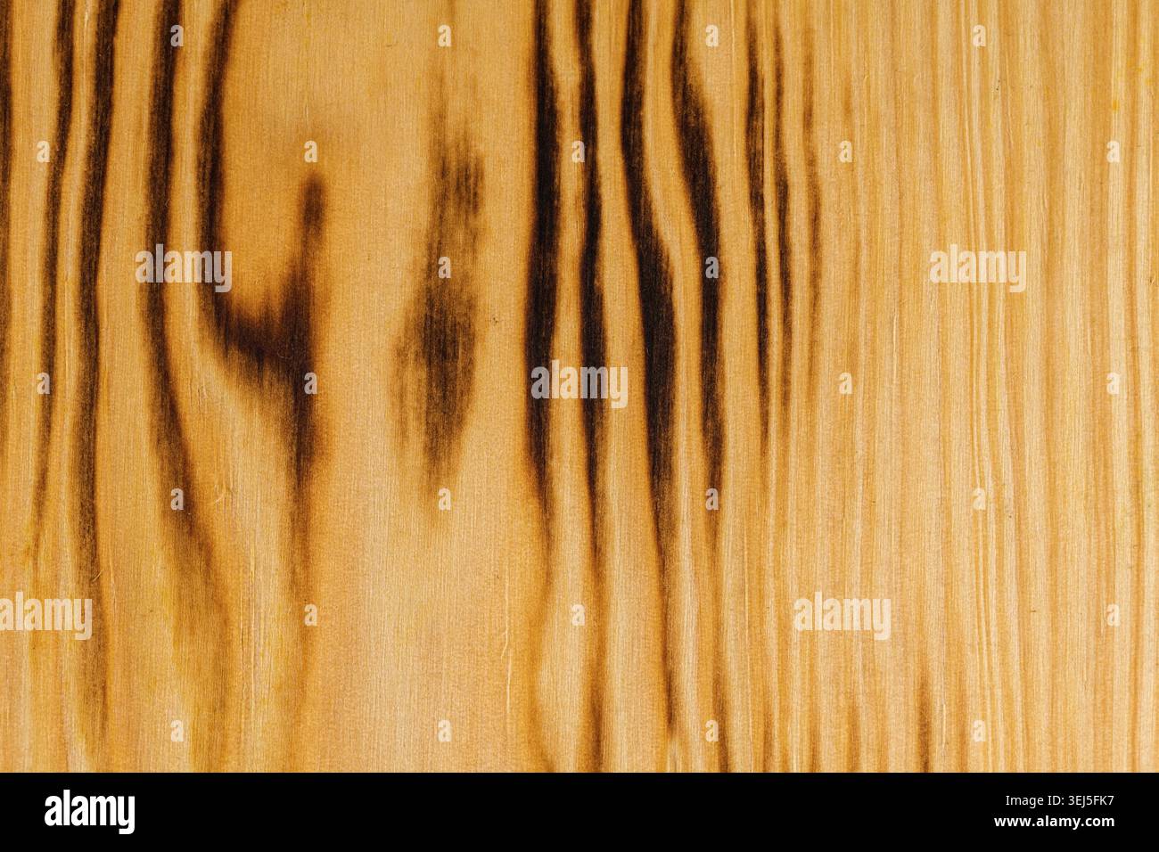 Background texture from burned brown pine wood Stock Photo