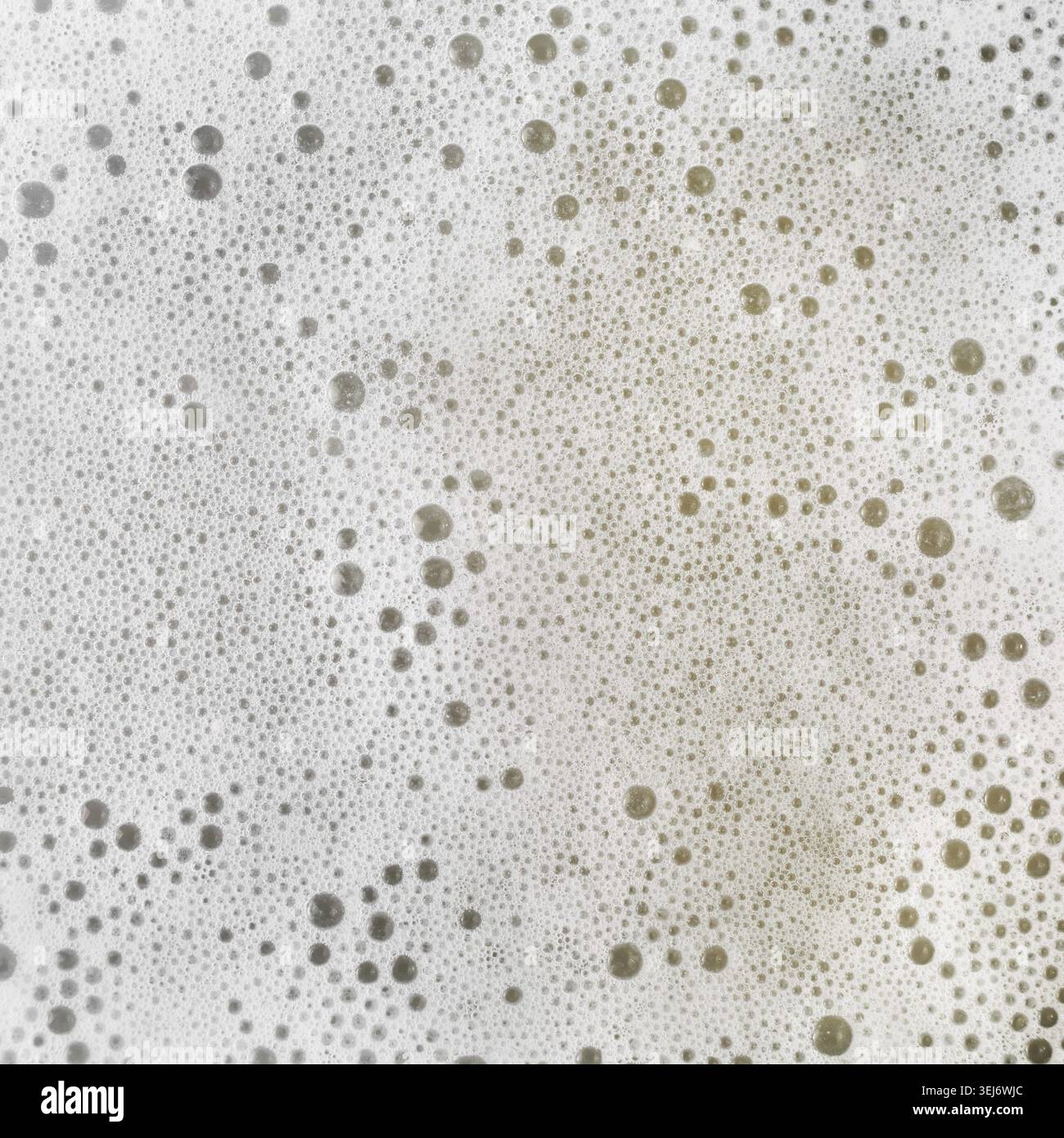 Foam with bubbles. abstract white background. Detergent in water Stock Photo