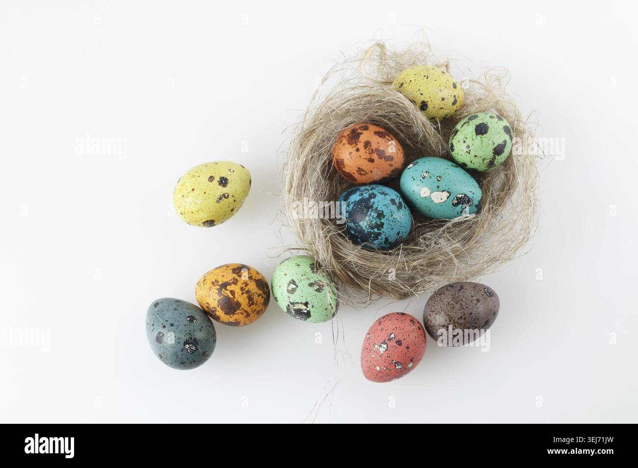 Painted quail eggs in the nest. Top view Stock Photo