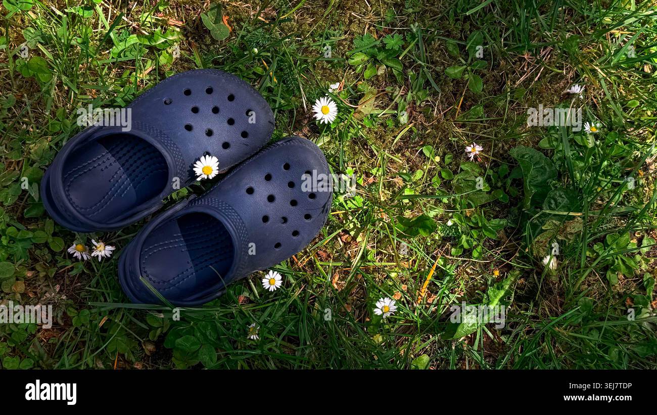 Black rubber clogs placed on green grass with small white daisies scattered around, showcasing a natural outdoor  Stock Photo