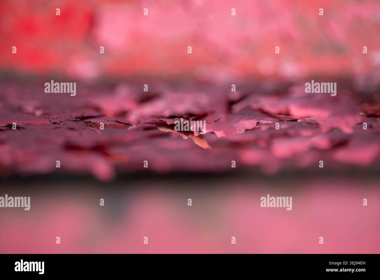 Peeling paint rust macro close up background image, bokeh authentic abstract Stock Photo