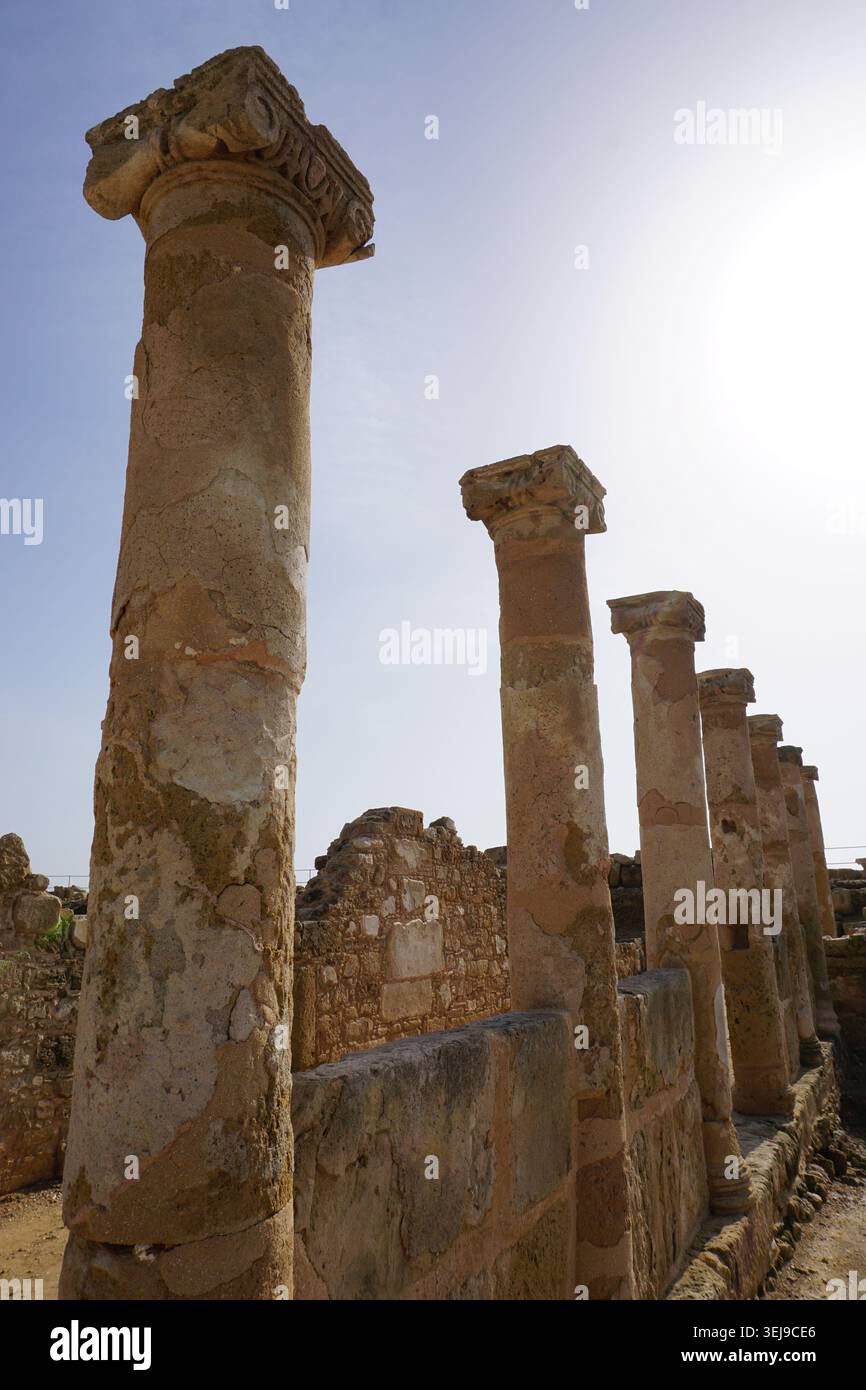 Vertical image of a row of Doric, ancient Greek columns, sandstone pillars, lining up at the archeological excavation site of a temple in Greece Stock Photo