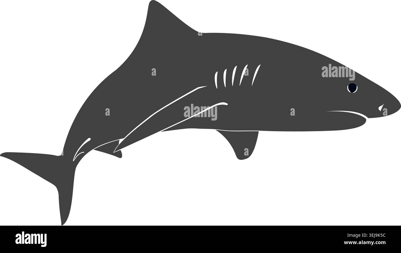 Swimming tiger shark silhouette. Stock Vector