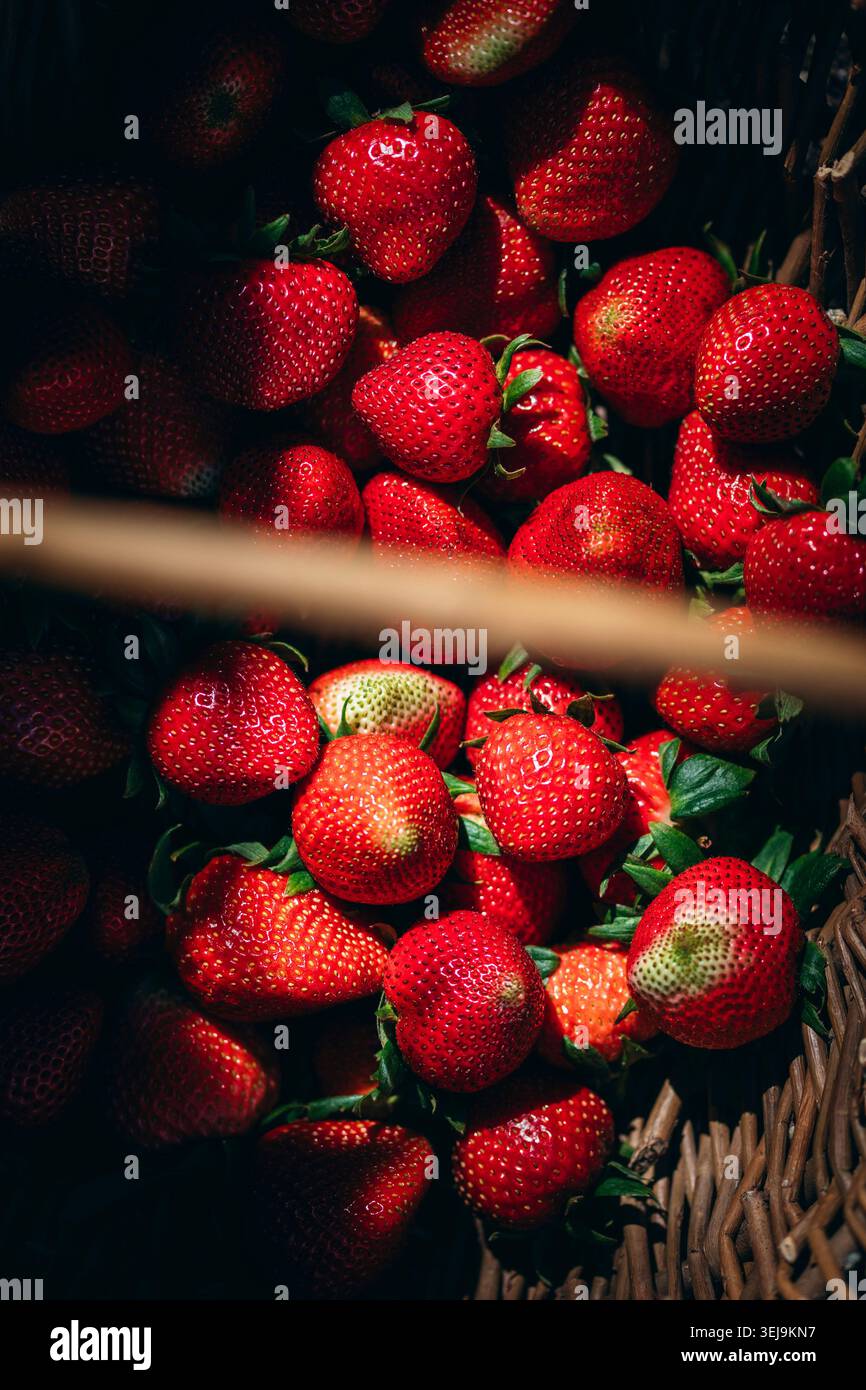 Freshly picked ripe red strawberries Stock Photo