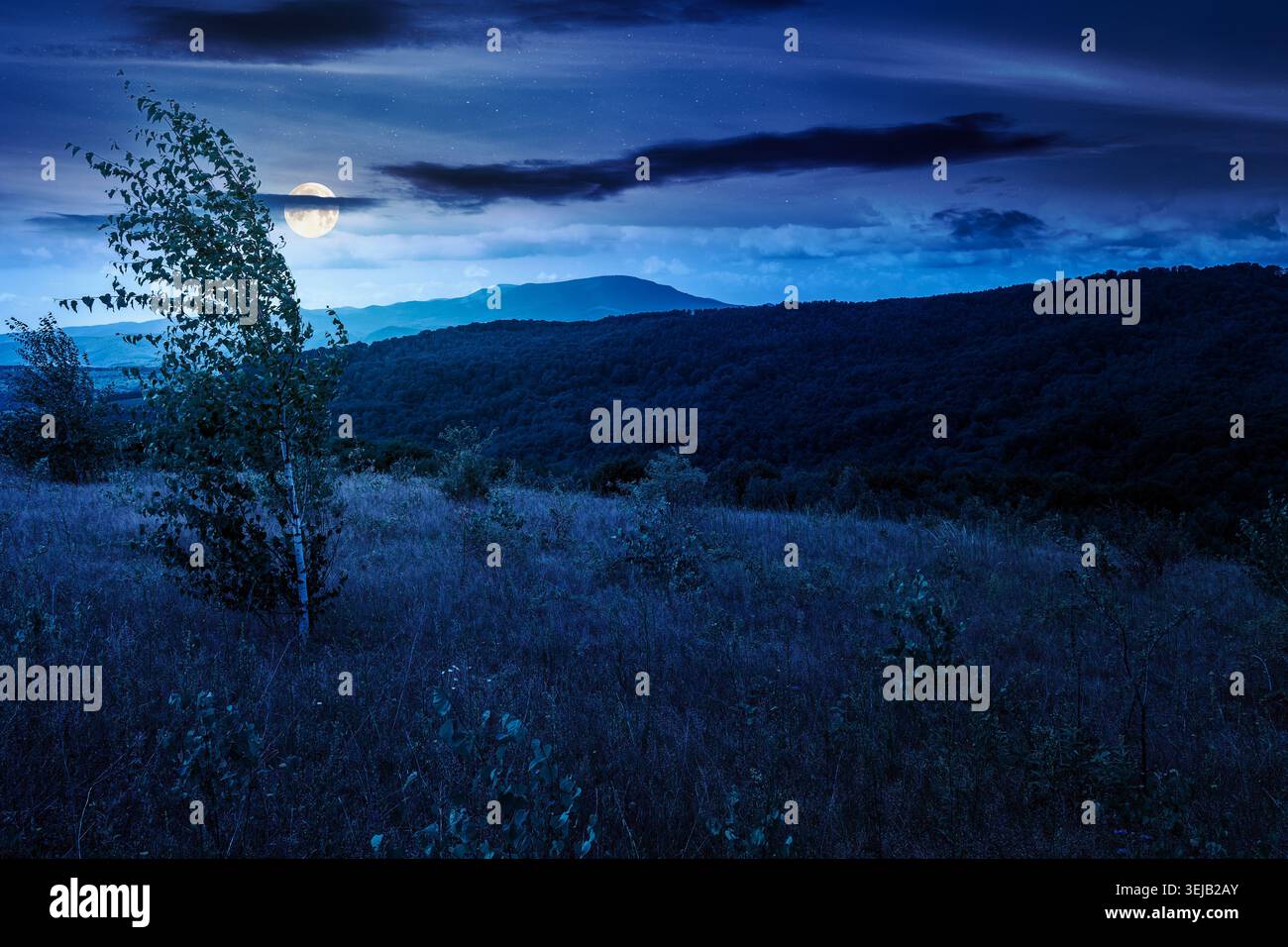 tree on a field in mountain landscape at night. full moon over green countryside of ukraine in summer. cloudy weather. carpathian landscape in dappled Stock Photo