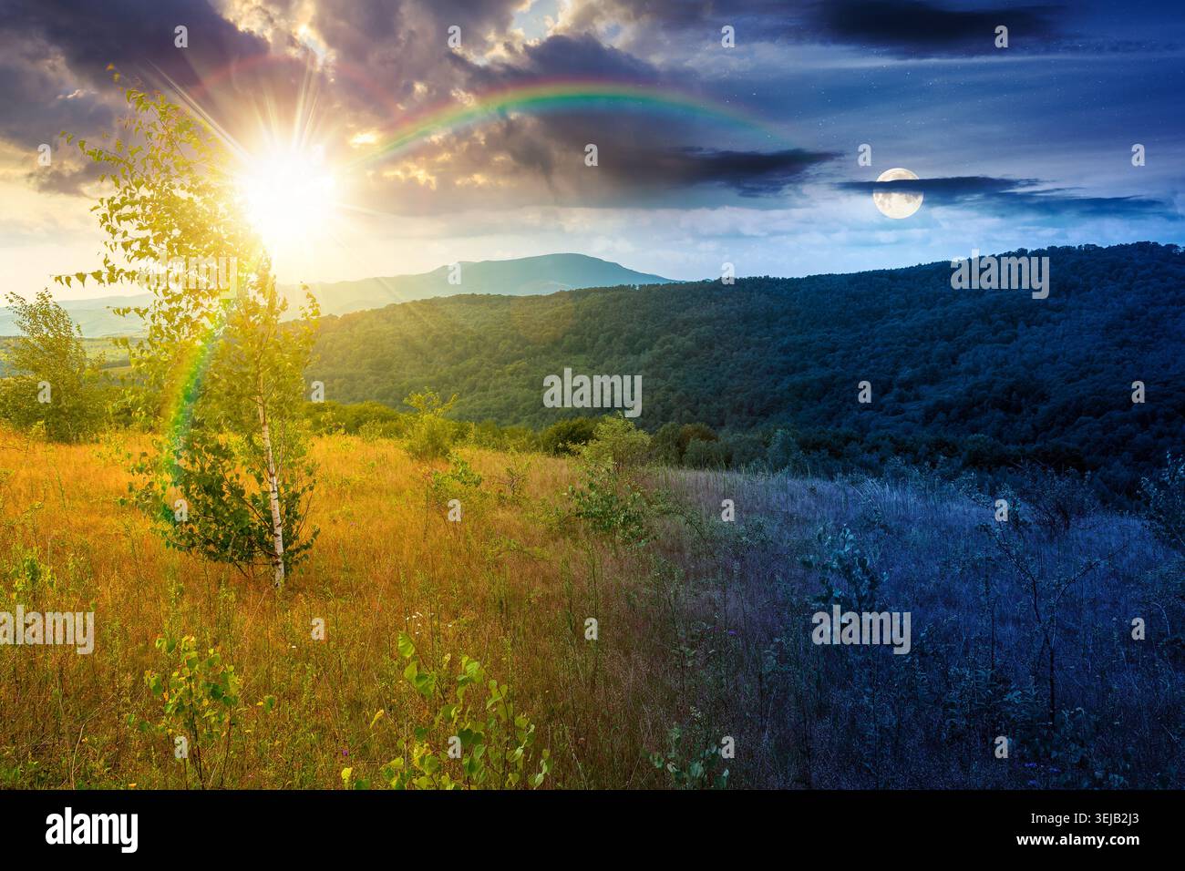tree on a field in mountain landscape. day meet night. sun and moon over green countryside of ukraine in summer. cloudy weather. carpathian landscape Stock Photo