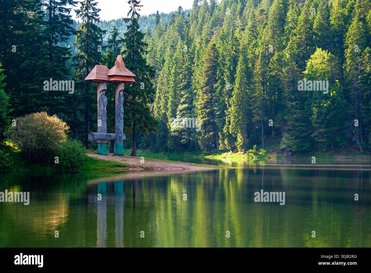 landscape with mountain lake of synevyr national park. green carpathian nature scenery in summer. coniferous forest reflection on the water. popular t Stock Photo