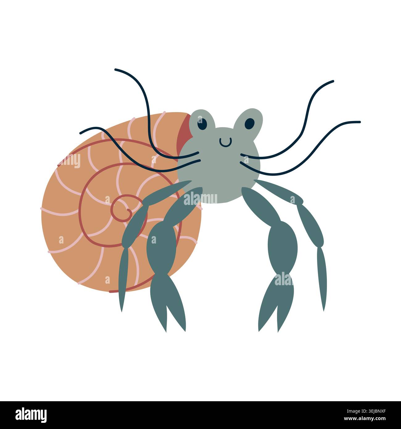 Cute Hermit Crab Cartoon Character Vector Illustration Stock Vector
