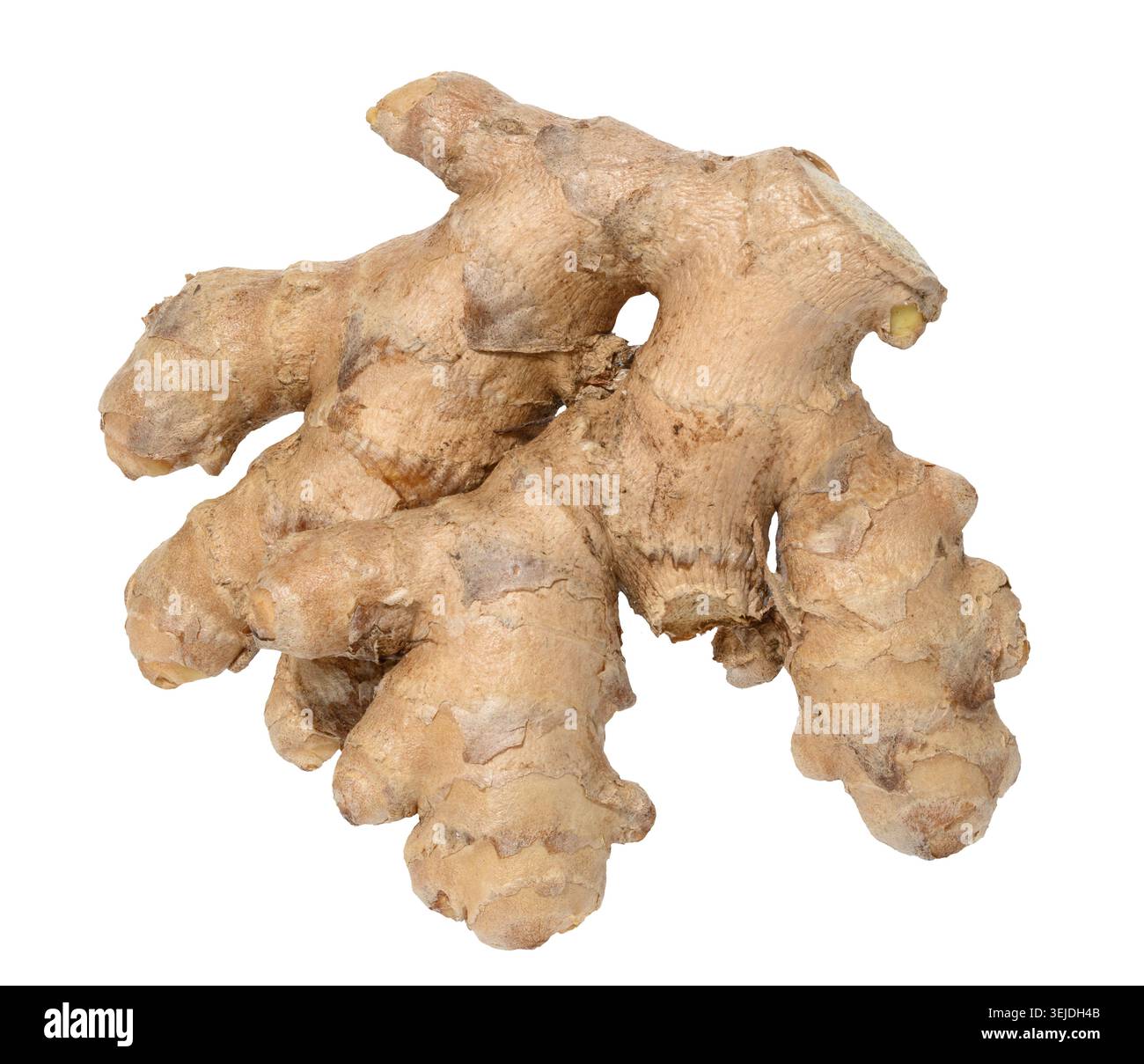 Ginger root on isolated background Stock Photo